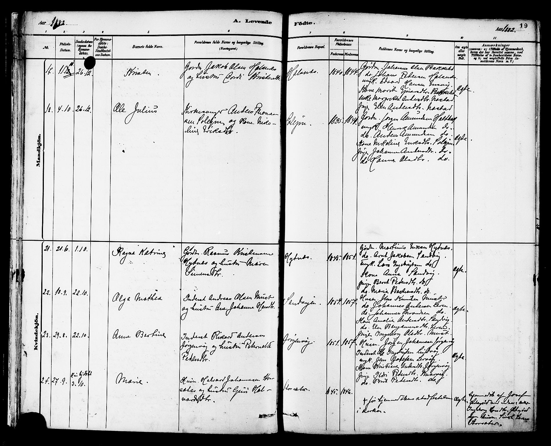 Ministerialprotokoller, klokkerbøker og fødselsregistre - Møre og Romsdal, AV/SAT-A-1454/577/L0896: Parish register (official) no. 577A03, 1880-1898, p. 19