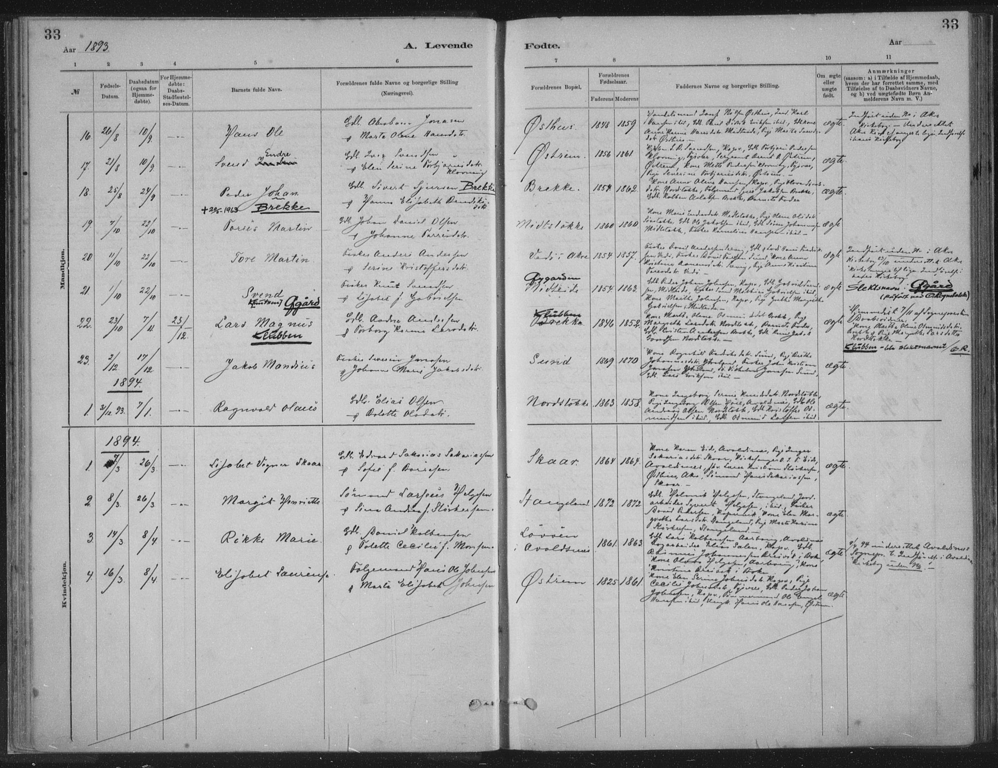 Kopervik sokneprestkontor, SAST/A-101850/H/Ha/Haa/L0002: Parish register (official) no. A 2, 1880-1912, p. 33