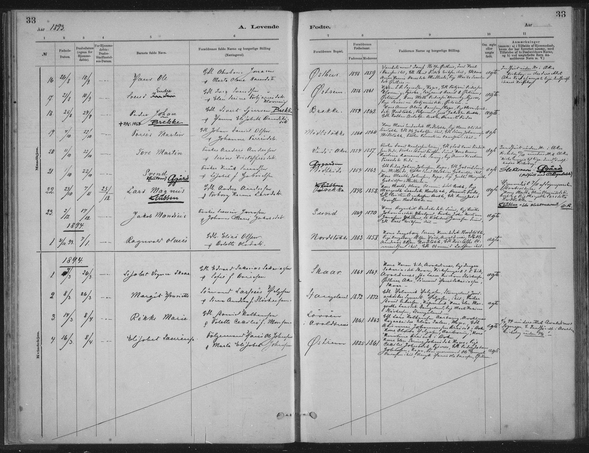 Kopervik sokneprestkontor, AV/SAST-A-101850/H/Ha/Haa/L0002: Parish register (official) no. A 2, 1880-1912, p. 33