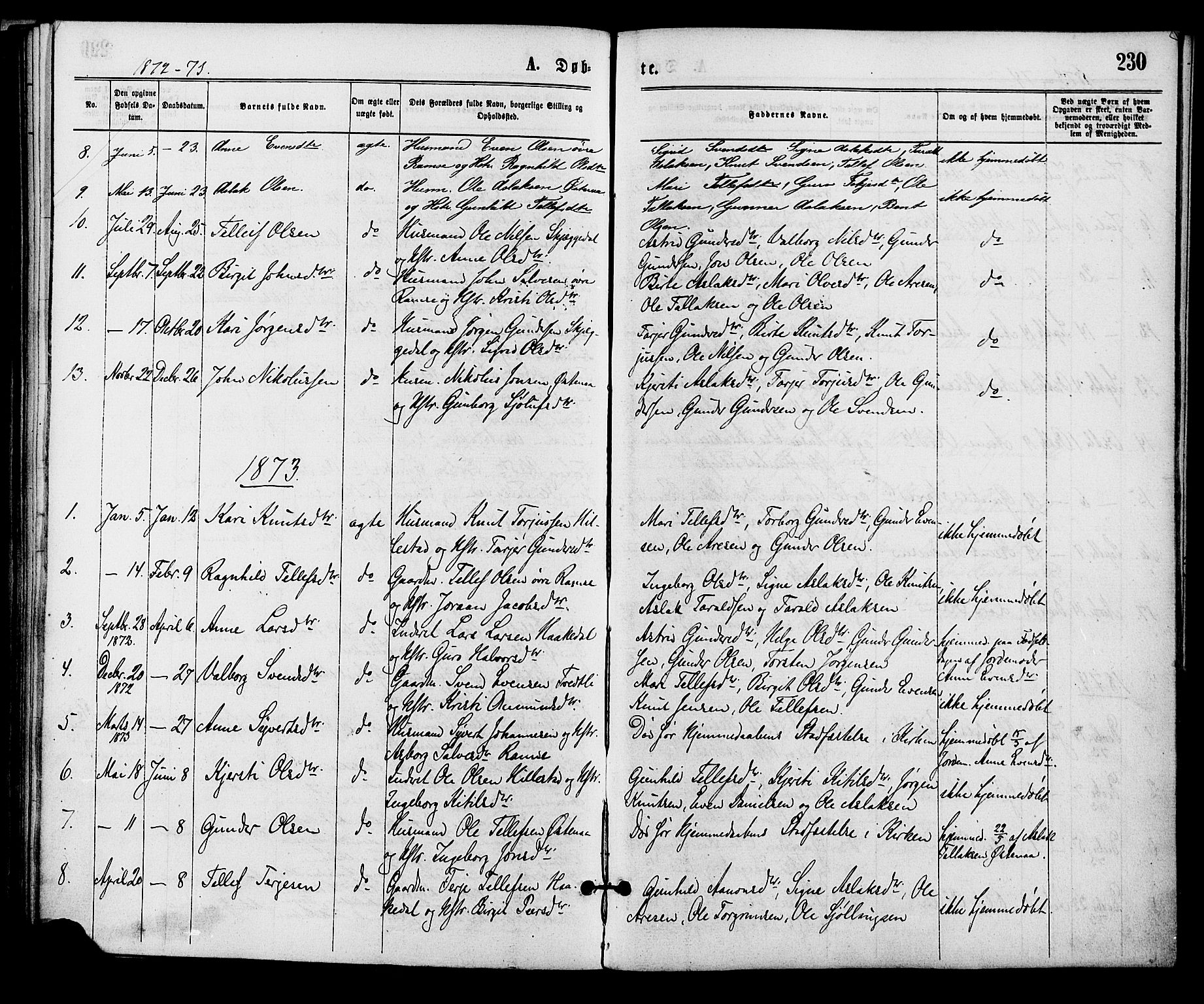Åmli sokneprestkontor, AV/SAK-1111-0050/F/Fa/Fac/L0009: Parish register (official) no. A 9 /3, 1869-1884, p. 230
