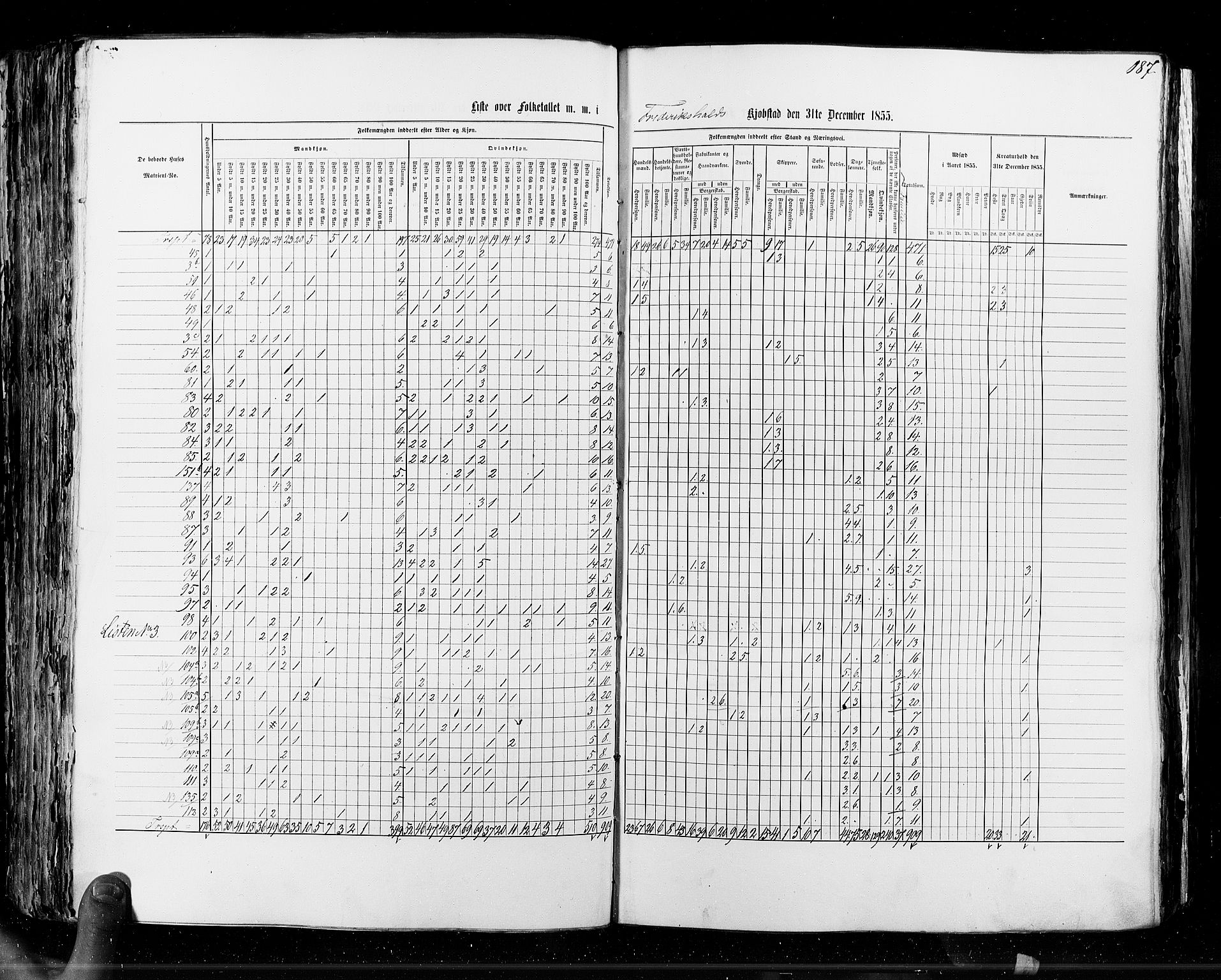 RA, Census 1855, vol. 7: Fredrikshald-Kragerø, 1855, p. 187