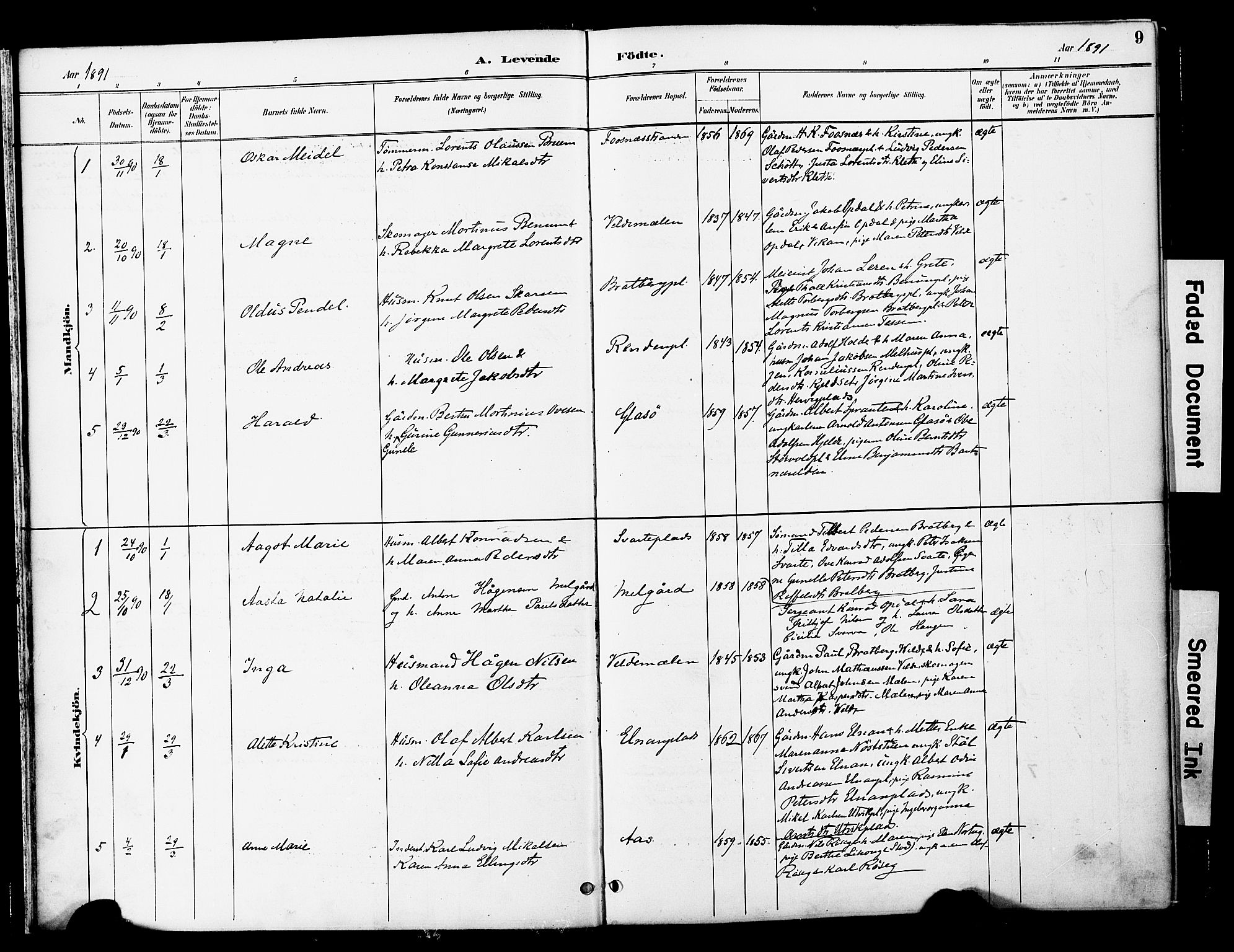 Ministerialprotokoller, klokkerbøker og fødselsregistre - Nord-Trøndelag, SAT/A-1458/741/L0396: Parish register (official) no. 741A10, 1889-1901, p. 9