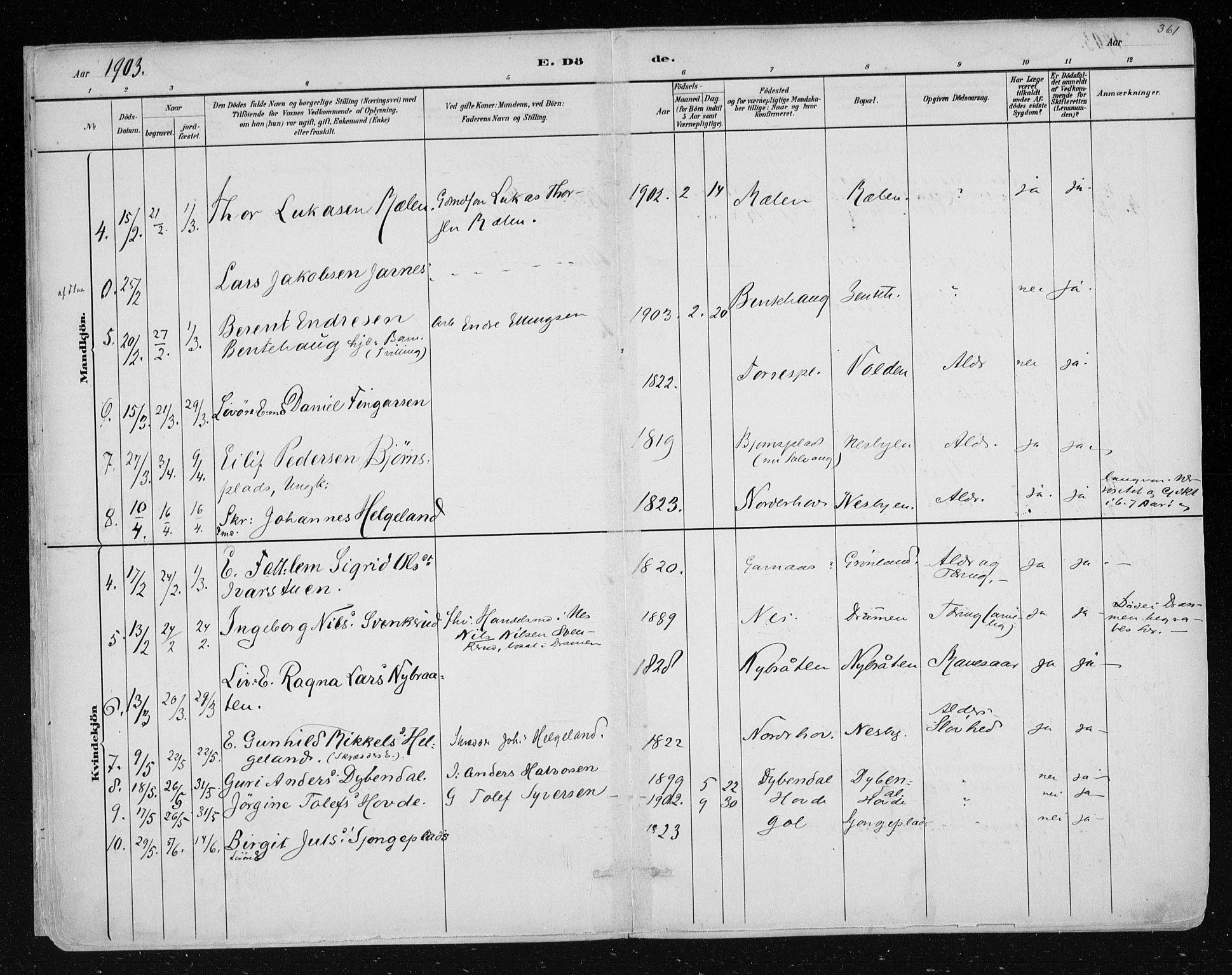 Nes kirkebøker, AV/SAKO-A-236/F/Fa/L0011: Parish register (official) no. 11, 1881-1912, p. 361