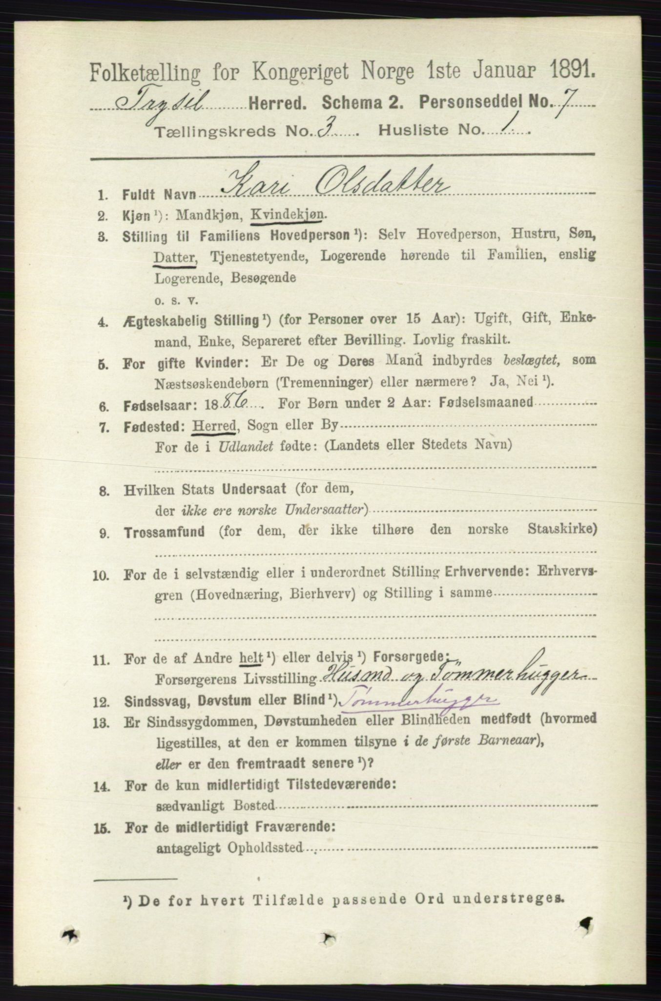 RA, 1891 census for 0428 Trysil, 1891, p. 1329