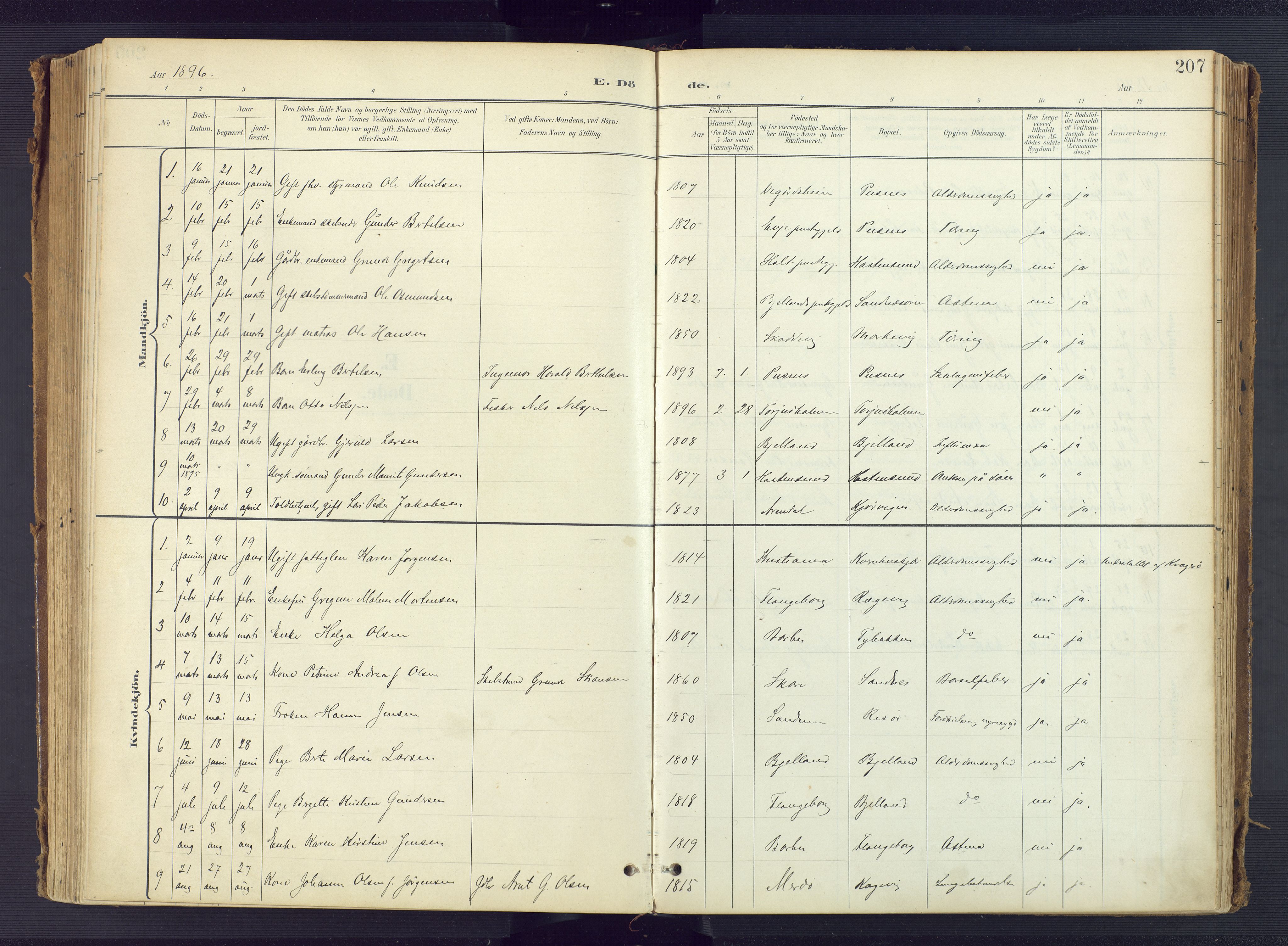 Tromøy sokneprestkontor, AV/SAK-1111-0041/F/Fa/L0010: Parish register (official) no. A 10, 1896-1912, p. 207