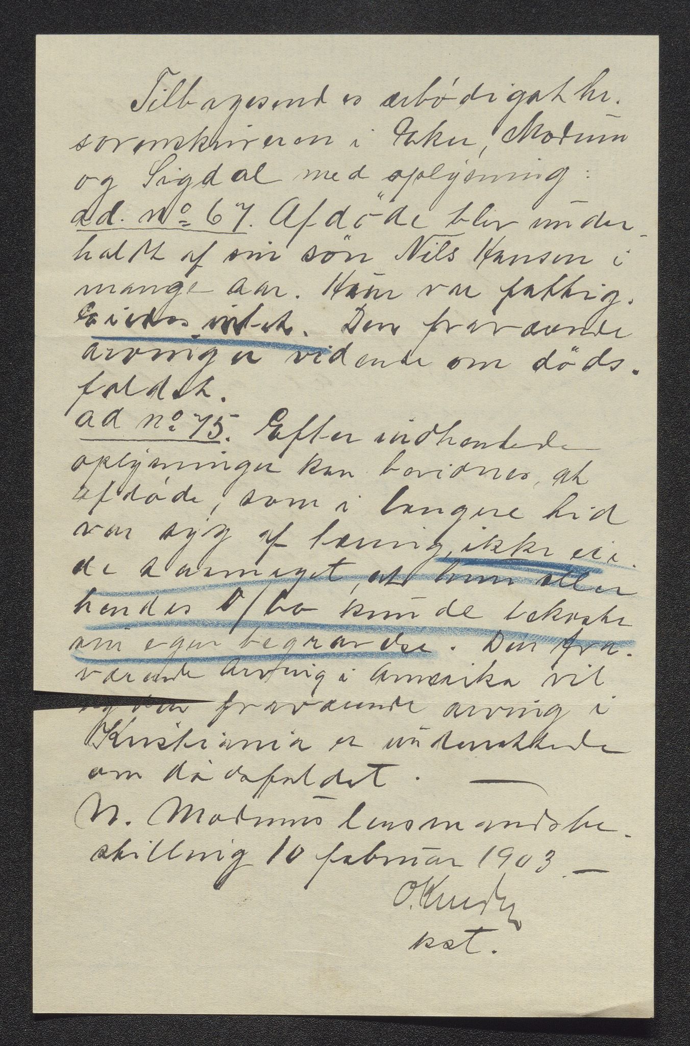 Eiker, Modum og Sigdal sorenskriveri, AV/SAKO-A-123/H/Ha/Hab/L0029: Dødsfallsmeldinger, 1902, p. 304