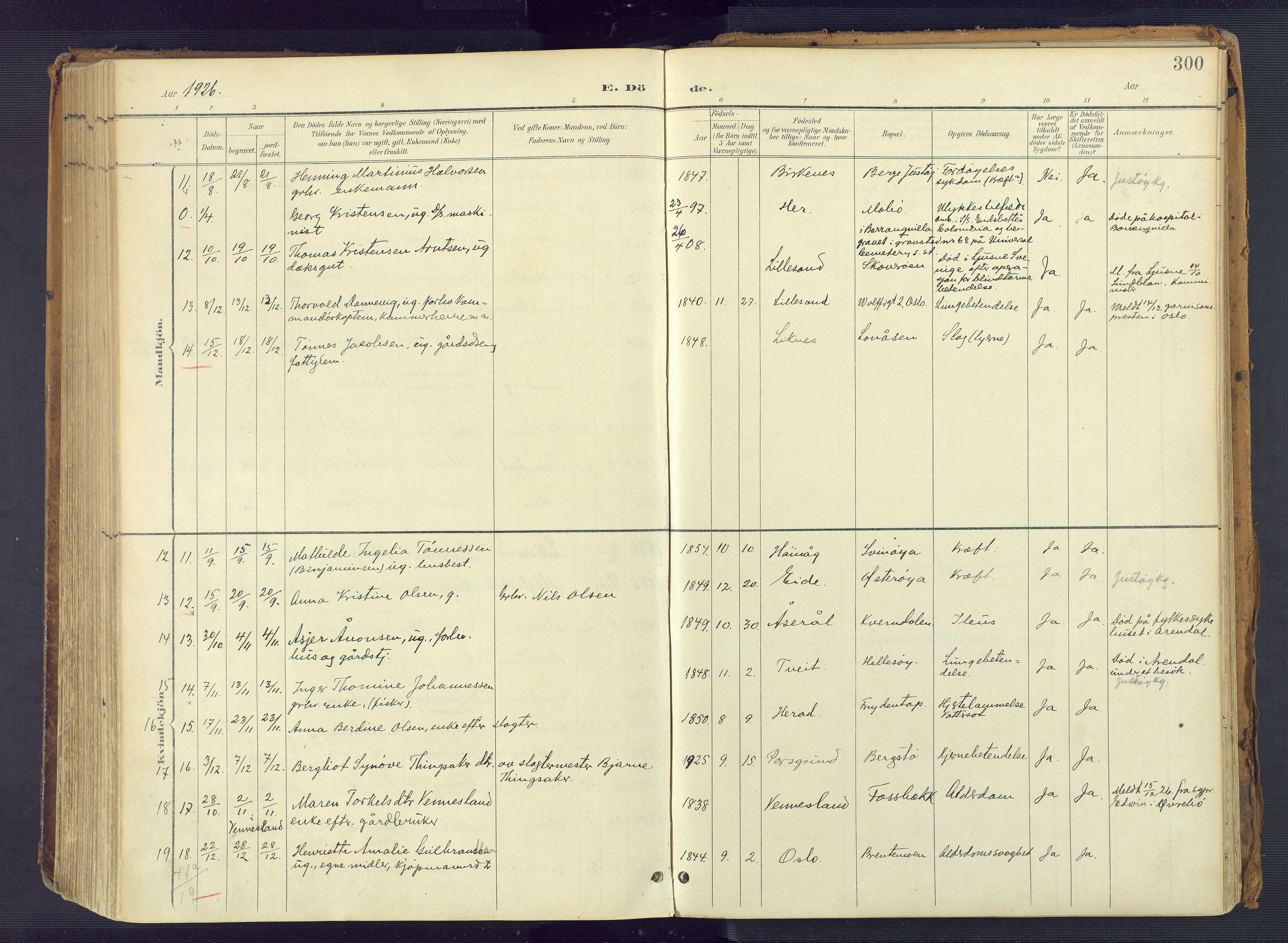 Vestre Moland sokneprestkontor, SAK/1111-0046/F/Fa/Fab/L0010: Parish register (official) no. A 10, 1900-1926, p. 300