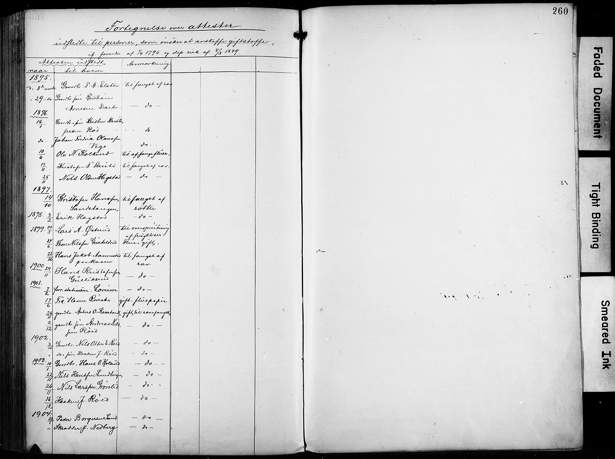 Fiskum kirkebøker, AV/SAKO-A-15/F/Fa/L0003: Parish register (official) no. 3, 1890-1905, p. 260