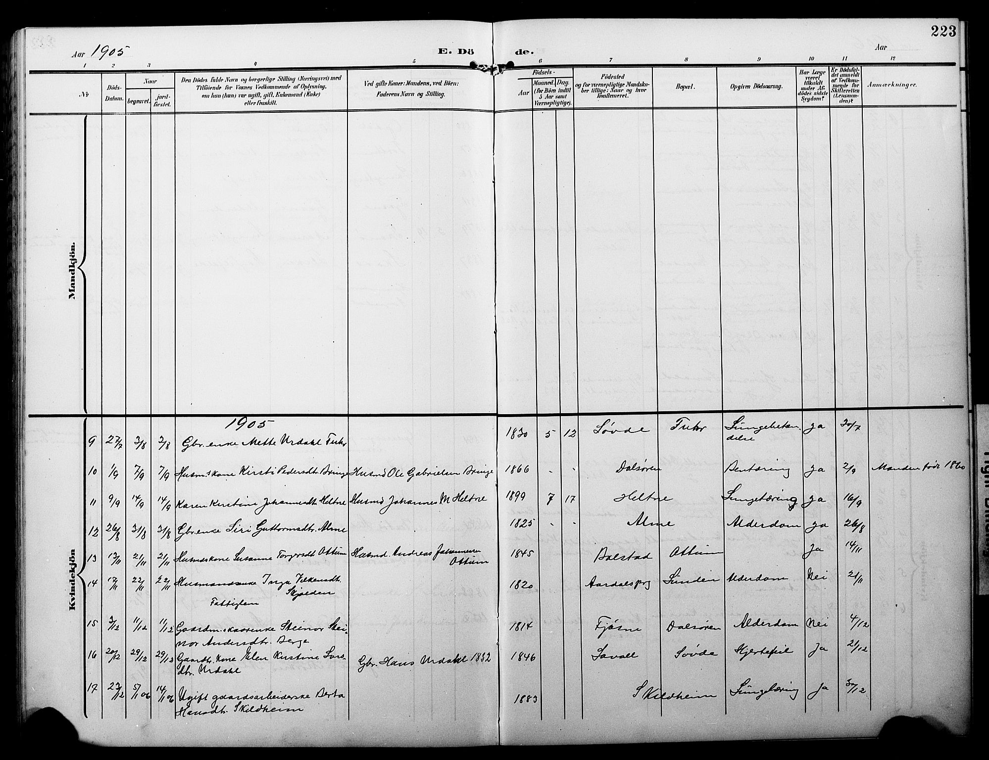 Luster sokneprestembete, AV/SAB-A-81101/H/Hab/Haba/L0001: Parish register (copy) no. A 1, 1903-1930, p. 223