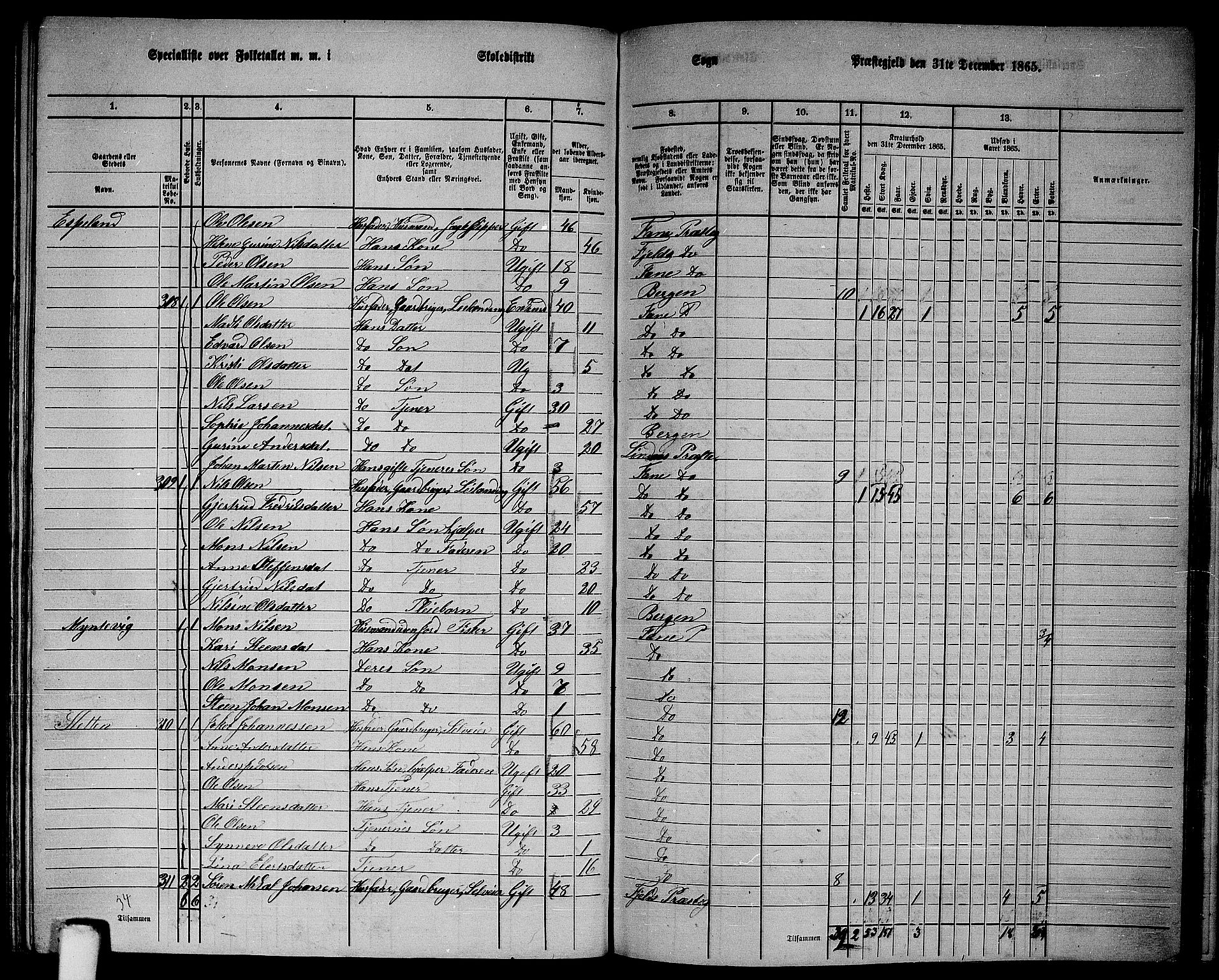 RA, 1865 census for Fana, 1865, p. 136