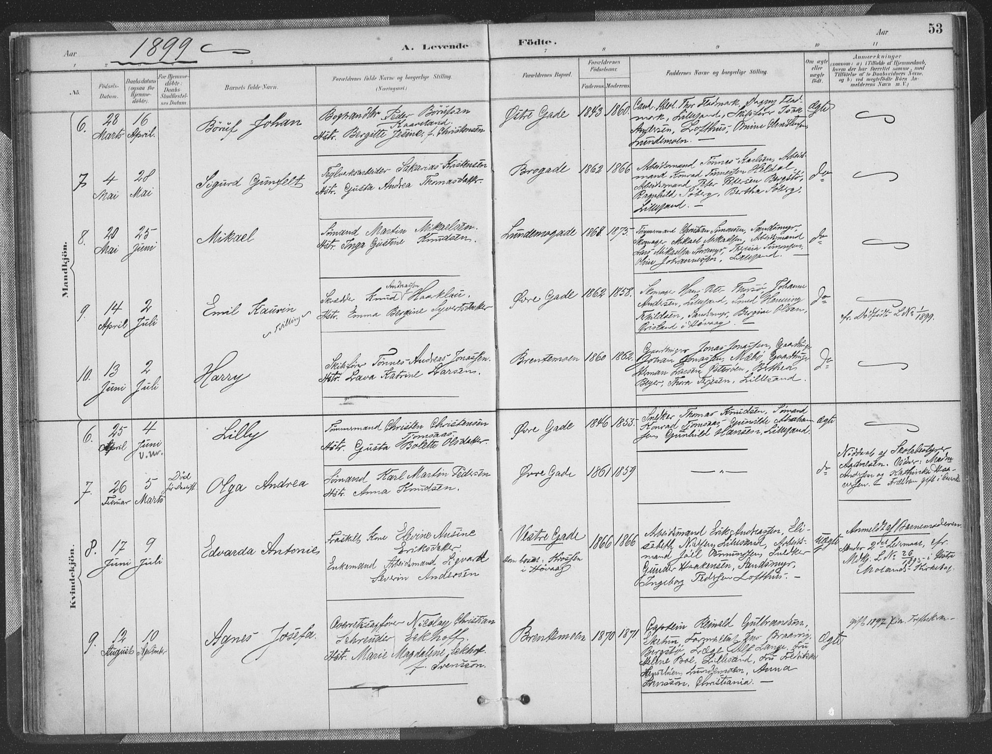 Vestre Moland sokneprestkontor, AV/SAK-1111-0046/F/Fa/Faa/L0001: Parish register (official) no. A 1, 1884-1899, p. 54