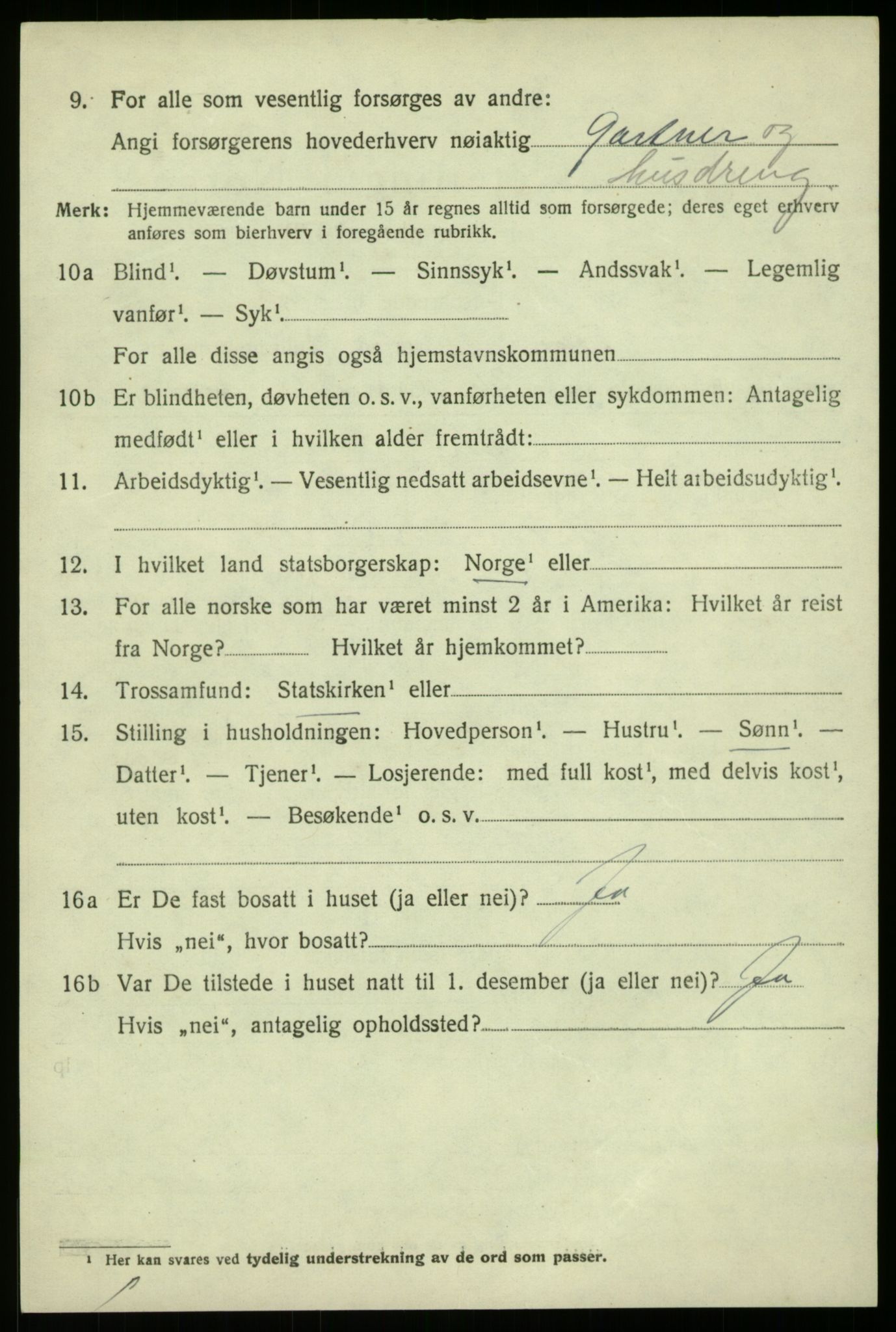 SAB, 1920 census for Fana, 1920, p. 13002