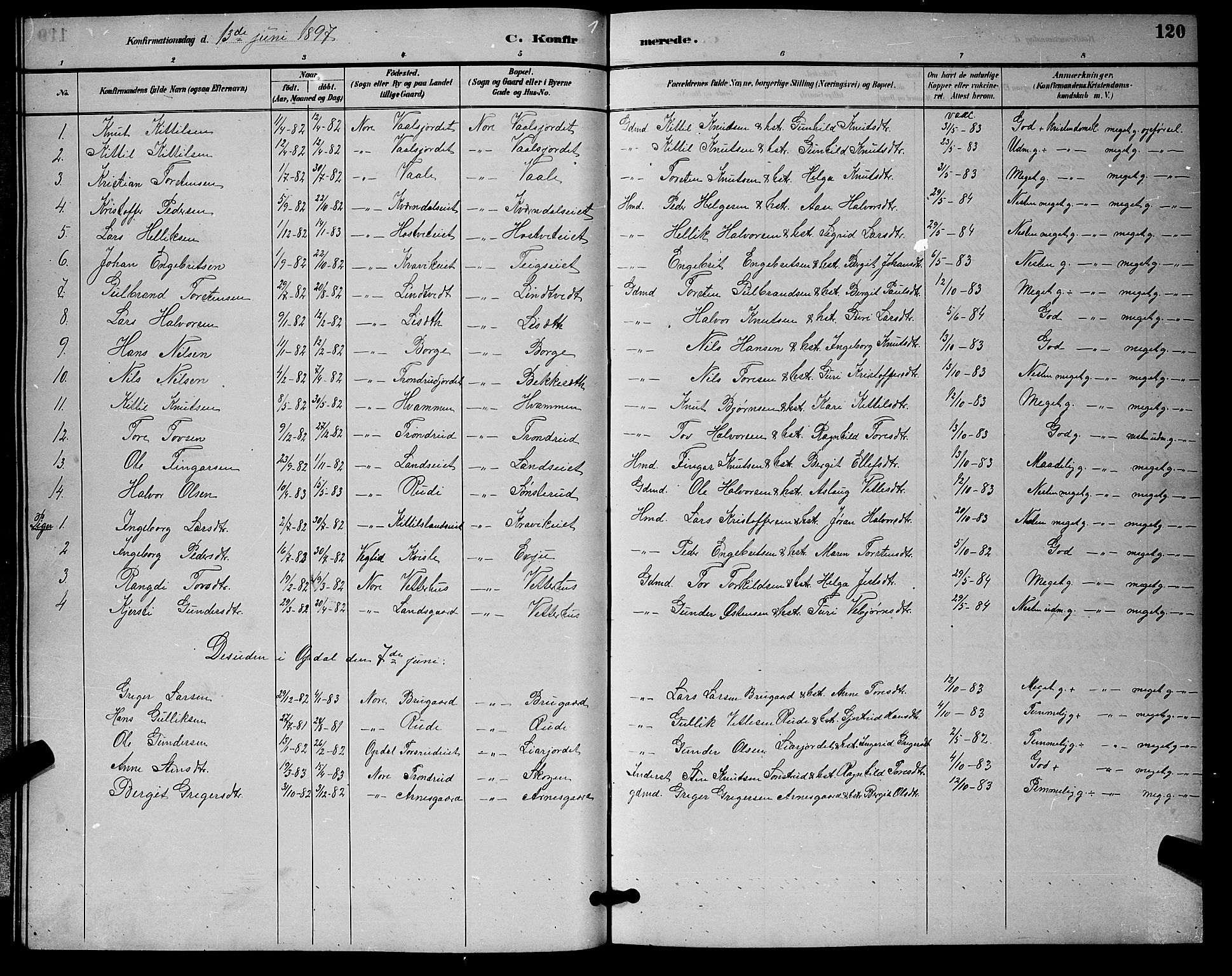 Nore kirkebøker, SAKO/A-238/G/Ga/L0003: Parish register (copy) no. I 3, 1886-1903, p. 120
