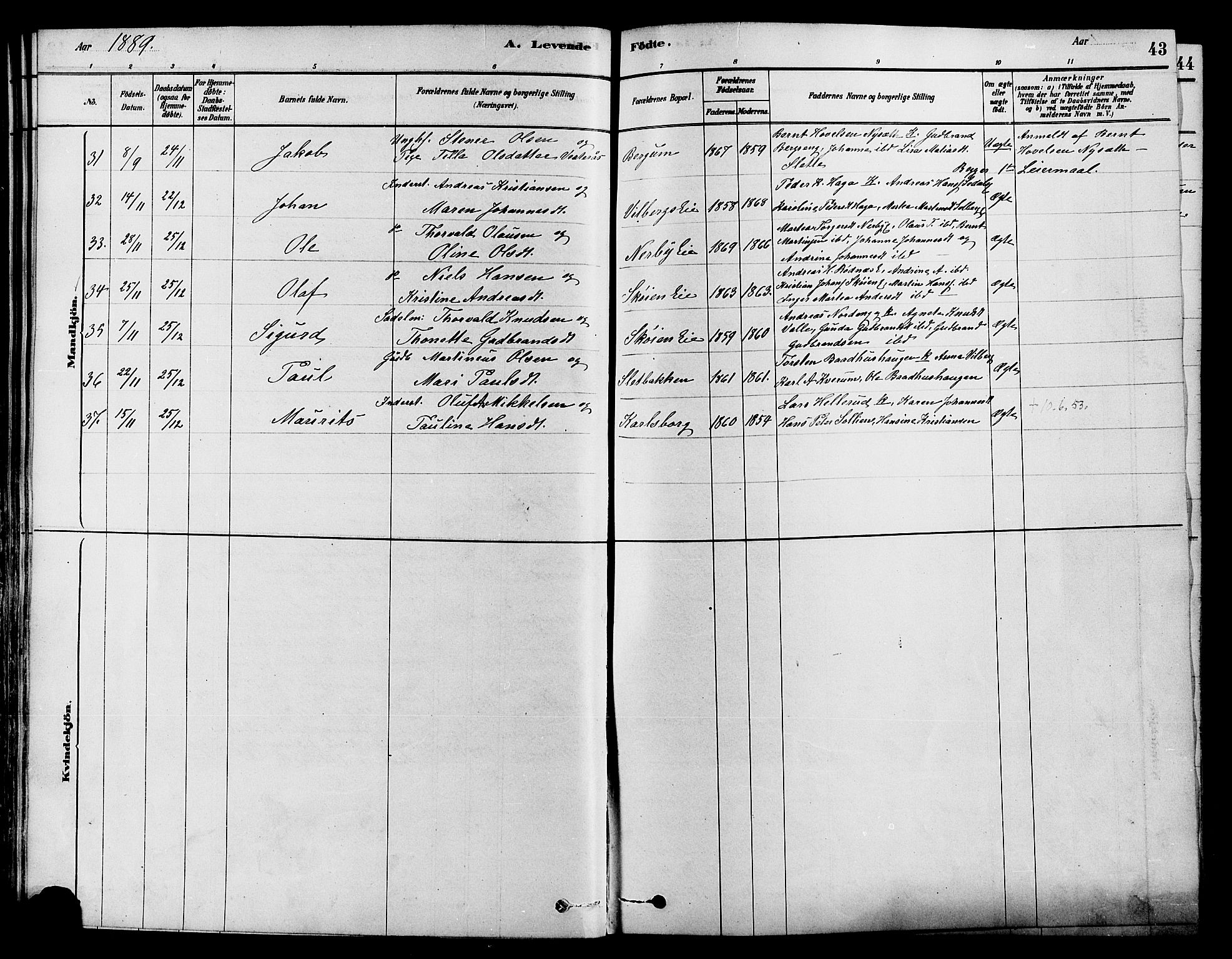 Søndre Land prestekontor, AV/SAH-PREST-122/K/L0002: Parish register (official) no. 2, 1878-1894, p. 43