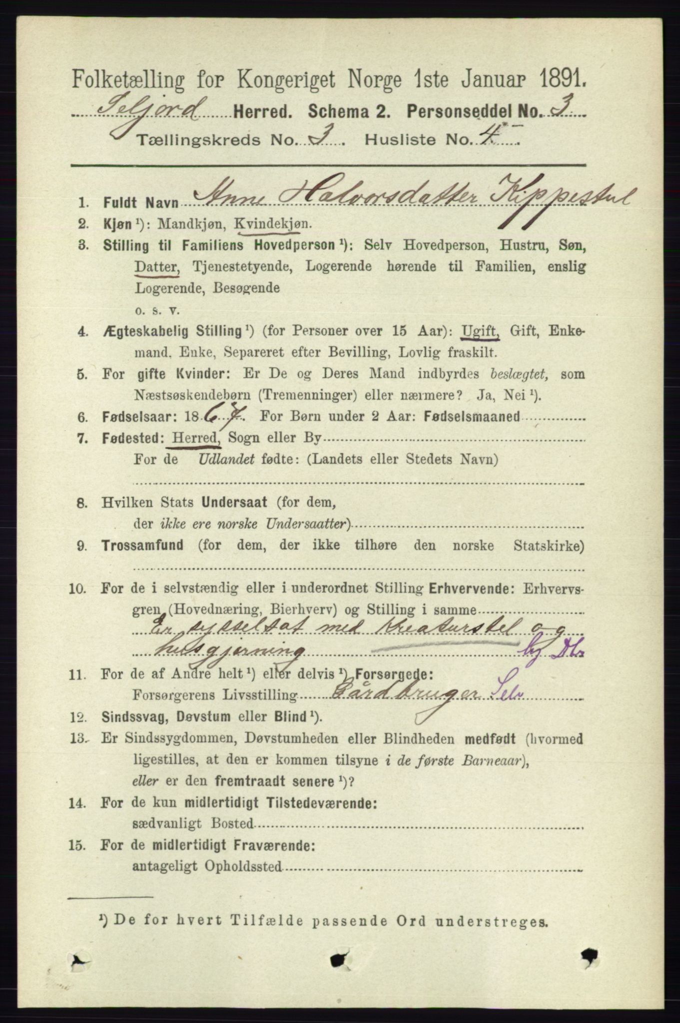 RA, 1891 census for 0828 Seljord, 1891, p. 994