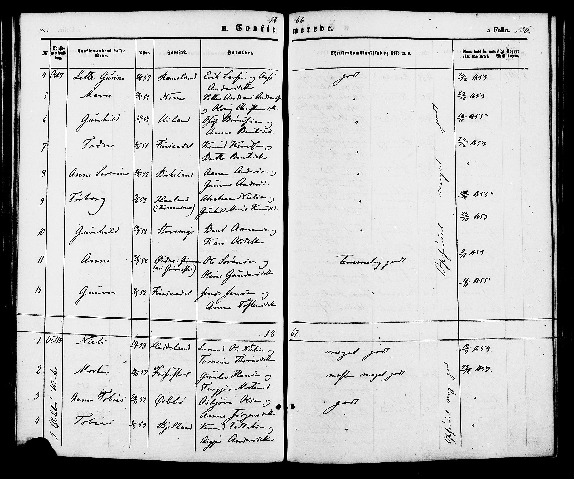 Holum sokneprestkontor, AV/SAK-1111-0022/F/Fa/Fac/L0003: Parish register (official) no. A 3, 1860-1883, p. 136