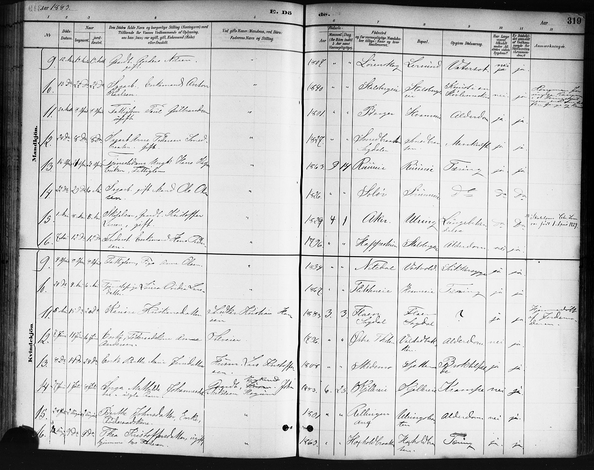Skedsmo prestekontor Kirkebøker, AV/SAO-A-10033a/G/Ga/L0004: Parish register (copy) no. I 4, 1883-1895, p. 319