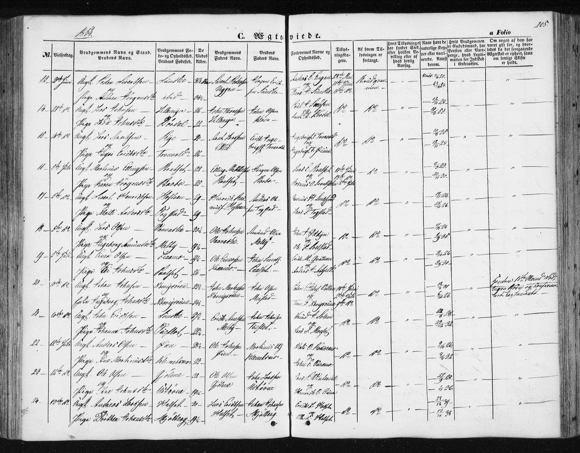 Ministerialprotokoller, klokkerbøker og fødselsregistre - Sør-Trøndelag, SAT/A-1456/668/L0806: Parish register (official) no. 668A06, 1854-1869, p. 205
