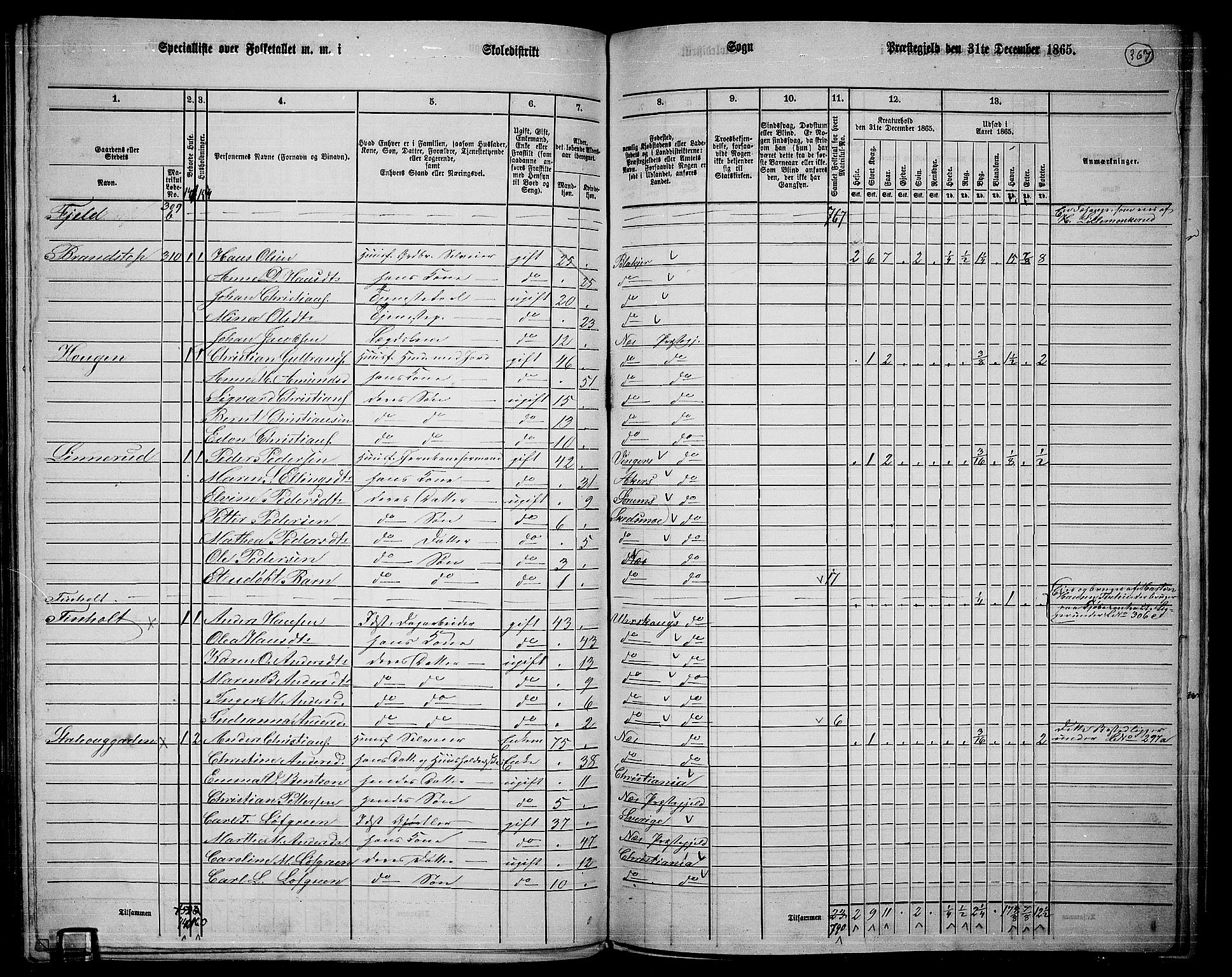 RA, 1865 census for Nes, 1865, p. 338