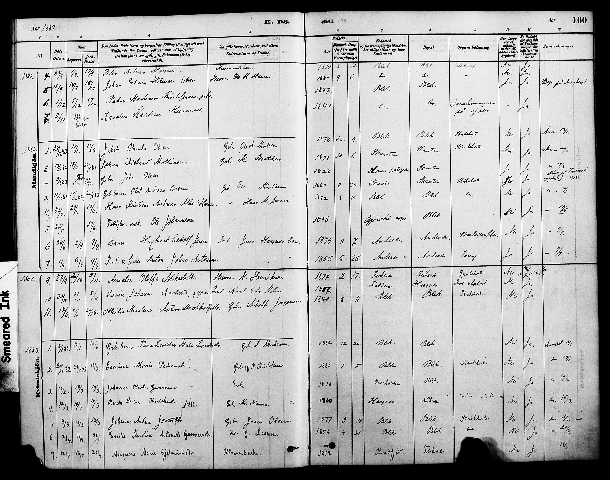 Ministerialprotokoller, klokkerbøker og fødselsregistre - Nordland, SAT/A-1459/899/L1436: Parish register (official) no. 899A04, 1881-1896, p. 160