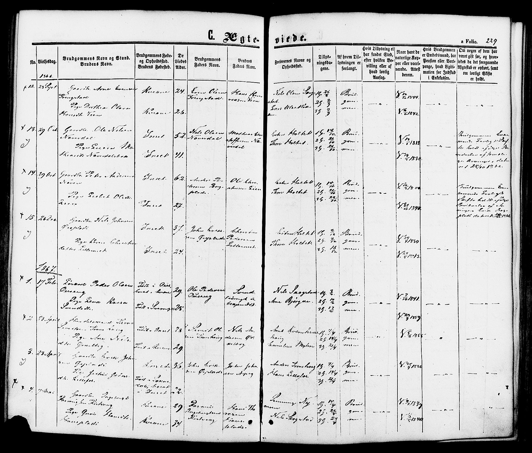 Kvikne prestekontor, SAH/PREST-064/H/Ha/Haa/L0006: Parish register (official) no. 6, 1863-1886, p. 229
