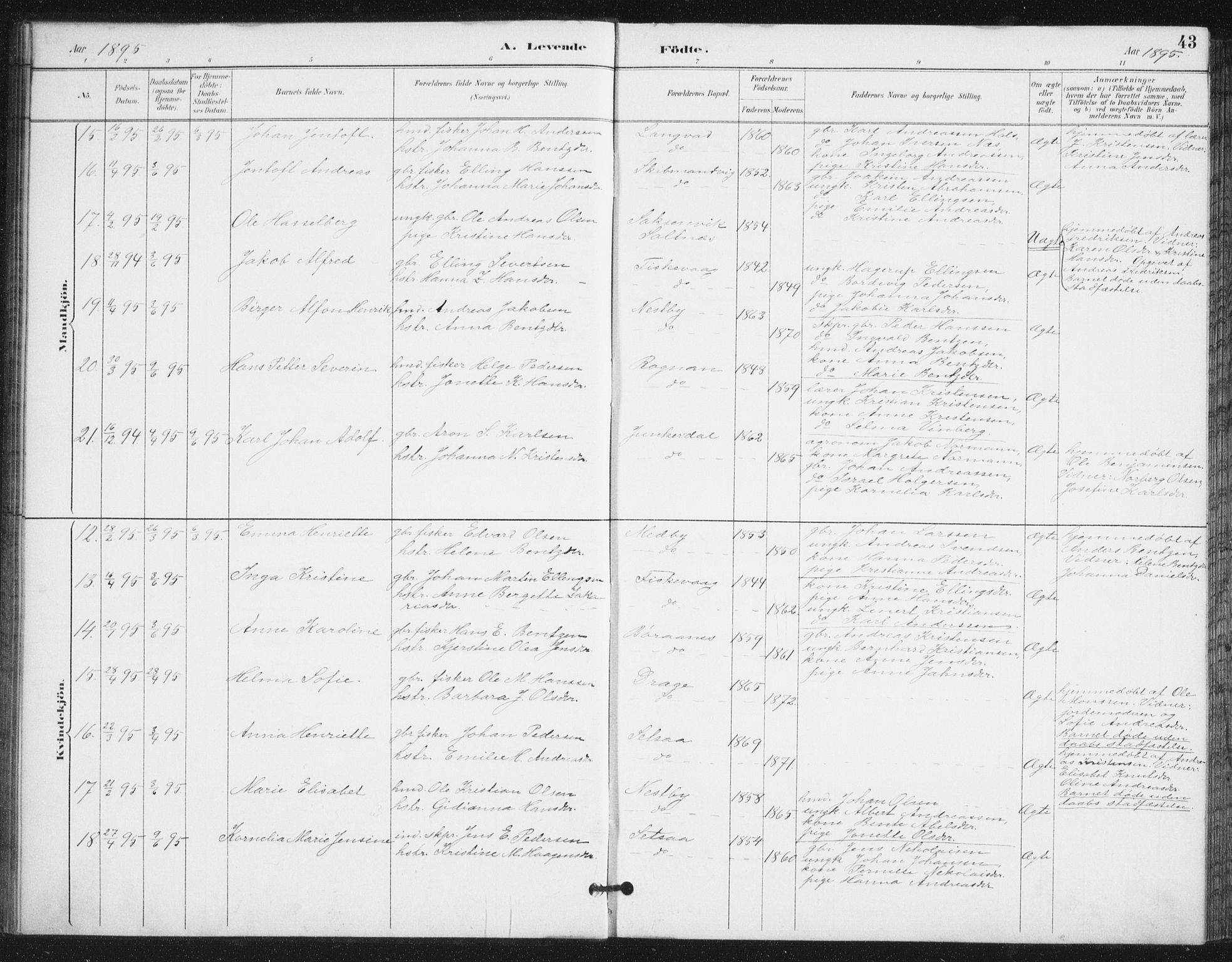 Ministerialprotokoller, klokkerbøker og fødselsregistre - Nordland, AV/SAT-A-1459/847/L0682: Parish register (copy) no. 847C10, 1889-1907, p. 43