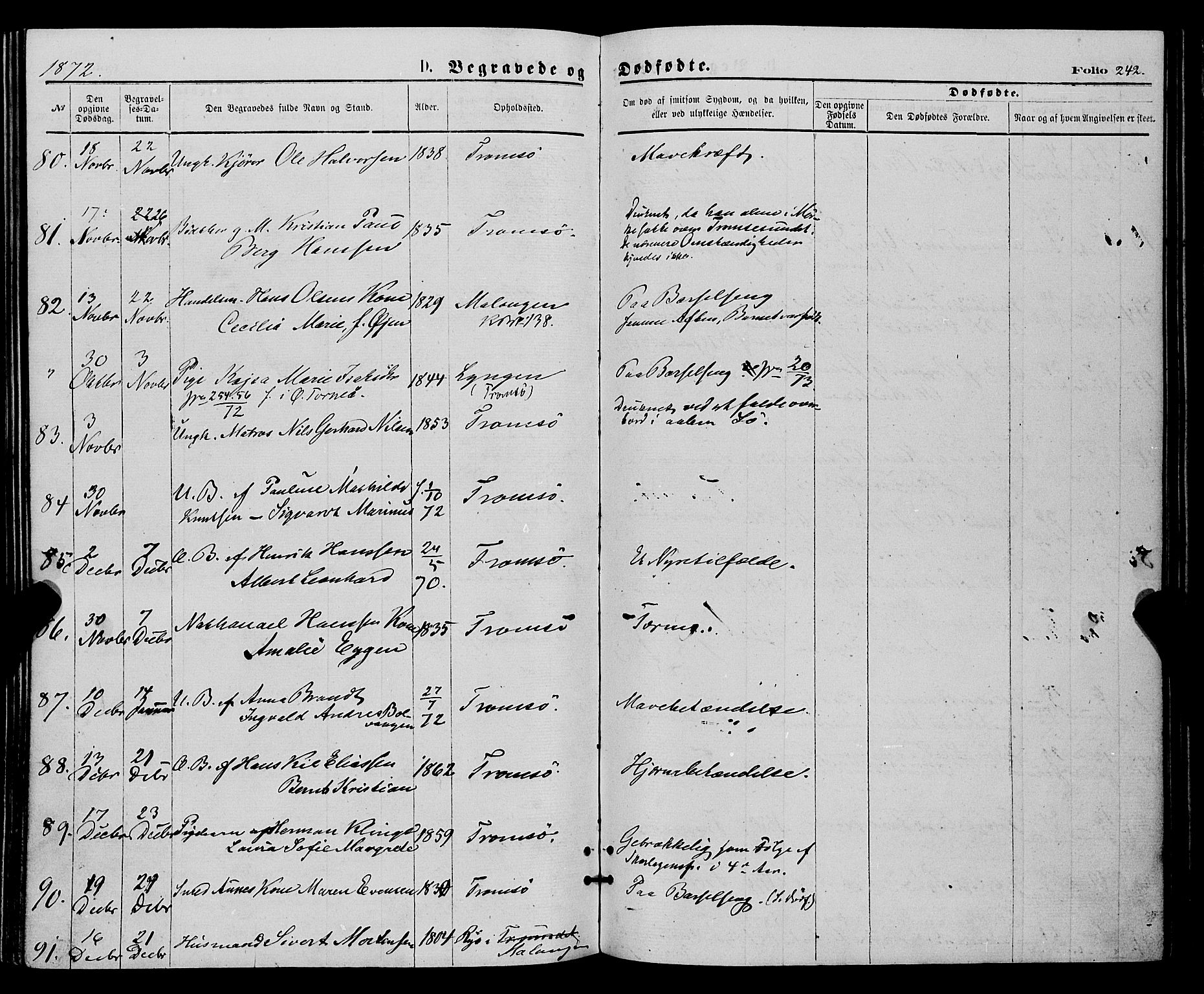 Tromsø sokneprestkontor/stiftsprosti/domprosti, SATØ/S-1343/G/Ga/L0013kirke: Parish register (official) no. 13, 1872-1877, p. 242