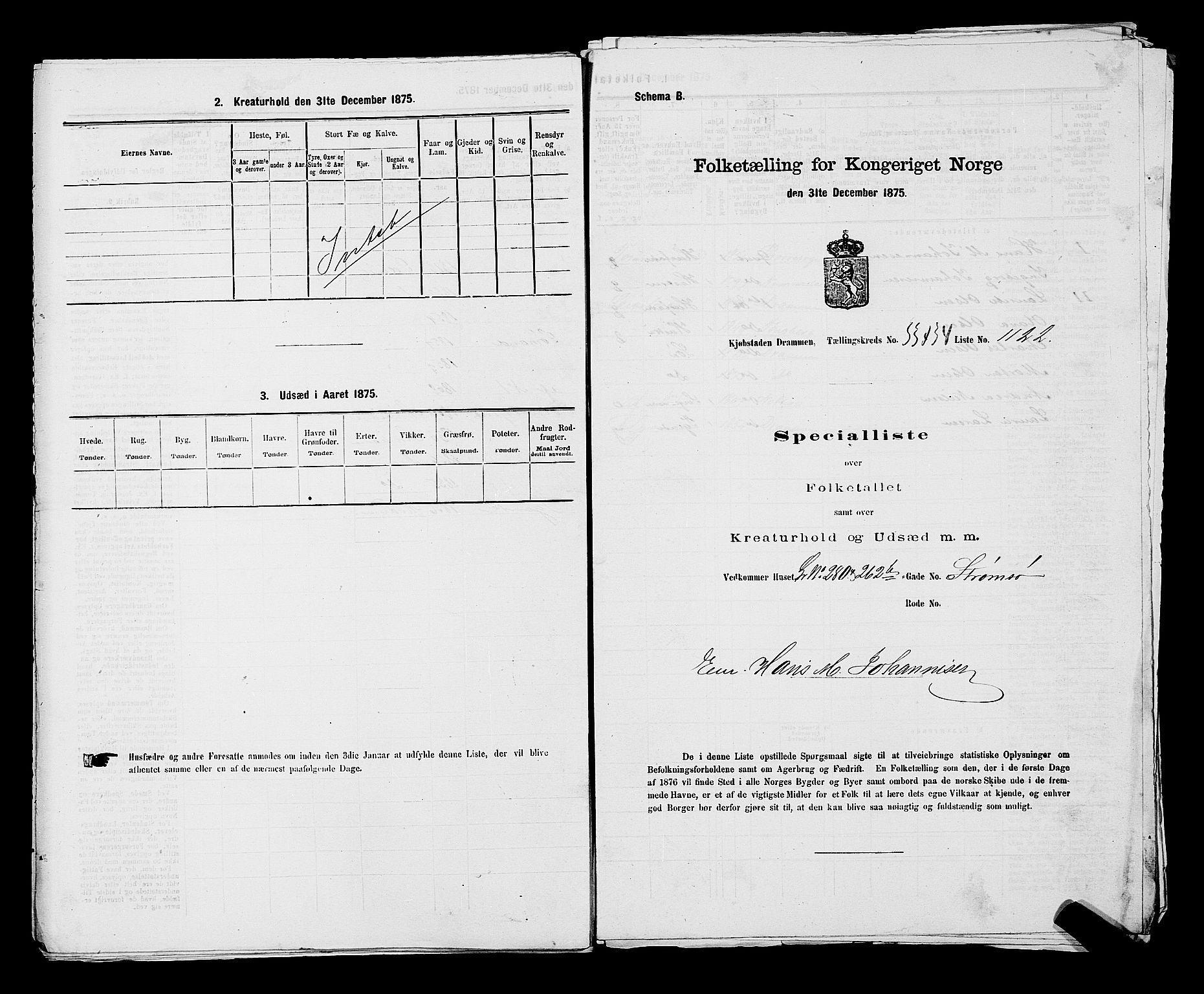 SAKO, 1875 census for 0602 Drammen, 1875, p. 2975