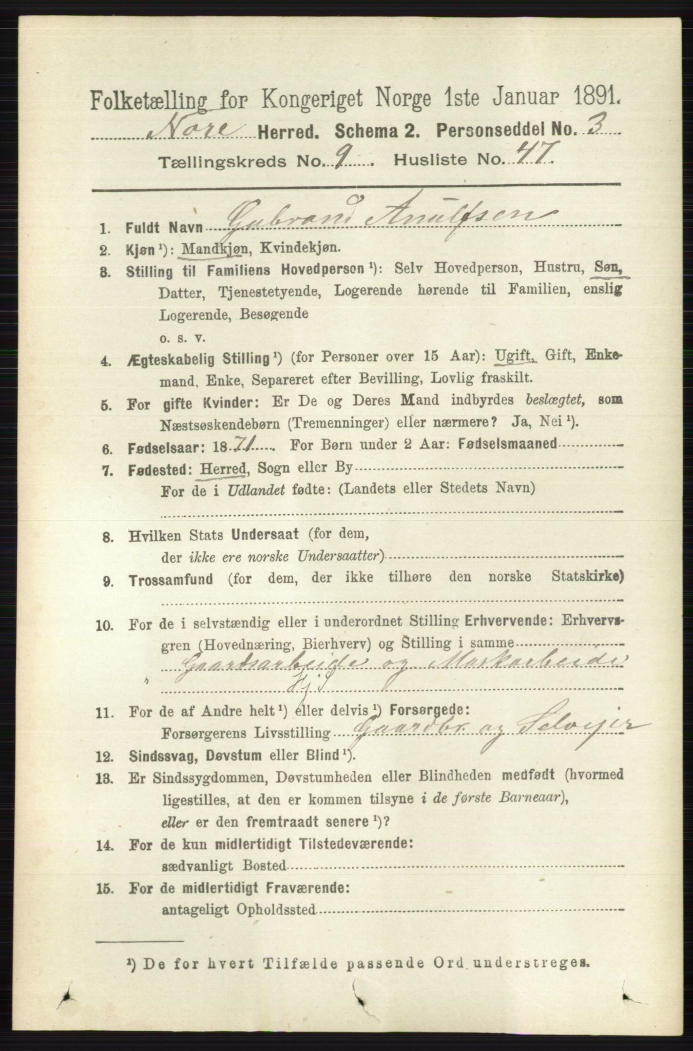 RA, 1891 census for 0633 Nore, 1891, p. 3480