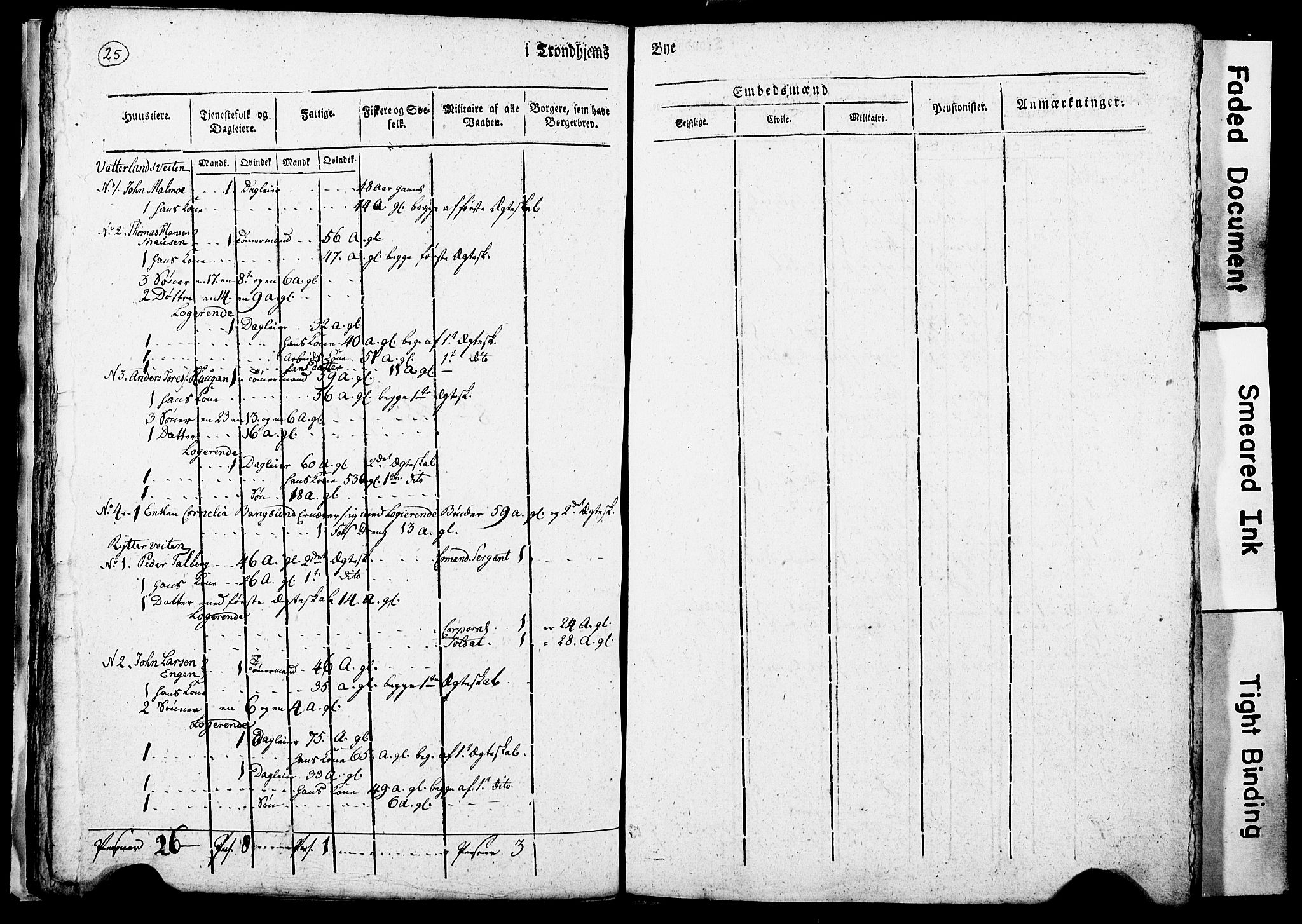 RA, Census 1815 for Trondheim, 1815, p. 226