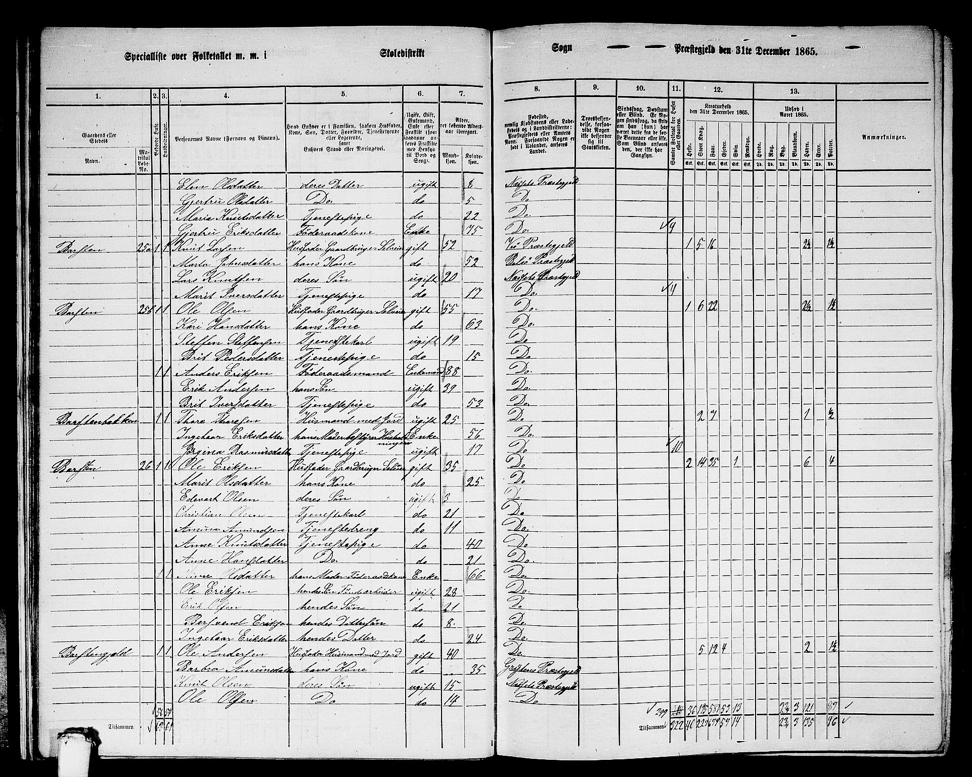 RA, 1865 census for Nesset, 1865, p. 21