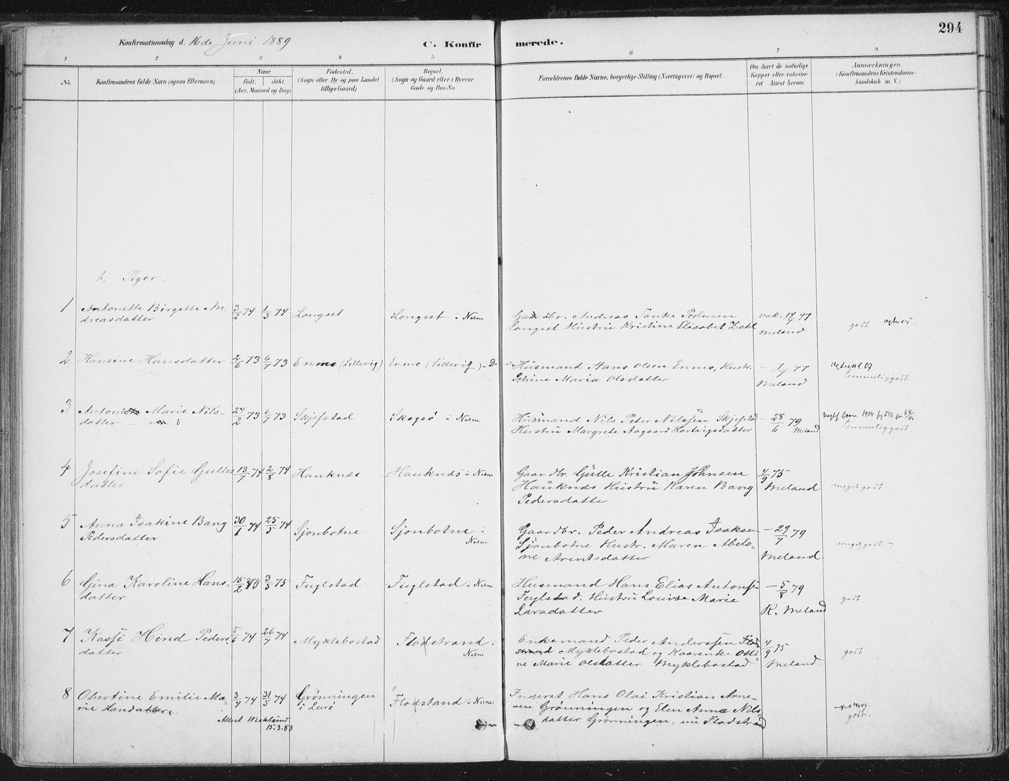 Ministerialprotokoller, klokkerbøker og fødselsregistre - Nordland, AV/SAT-A-1459/838/L0552: Parish register (official) no. 838A10, 1880-1910, p. 294