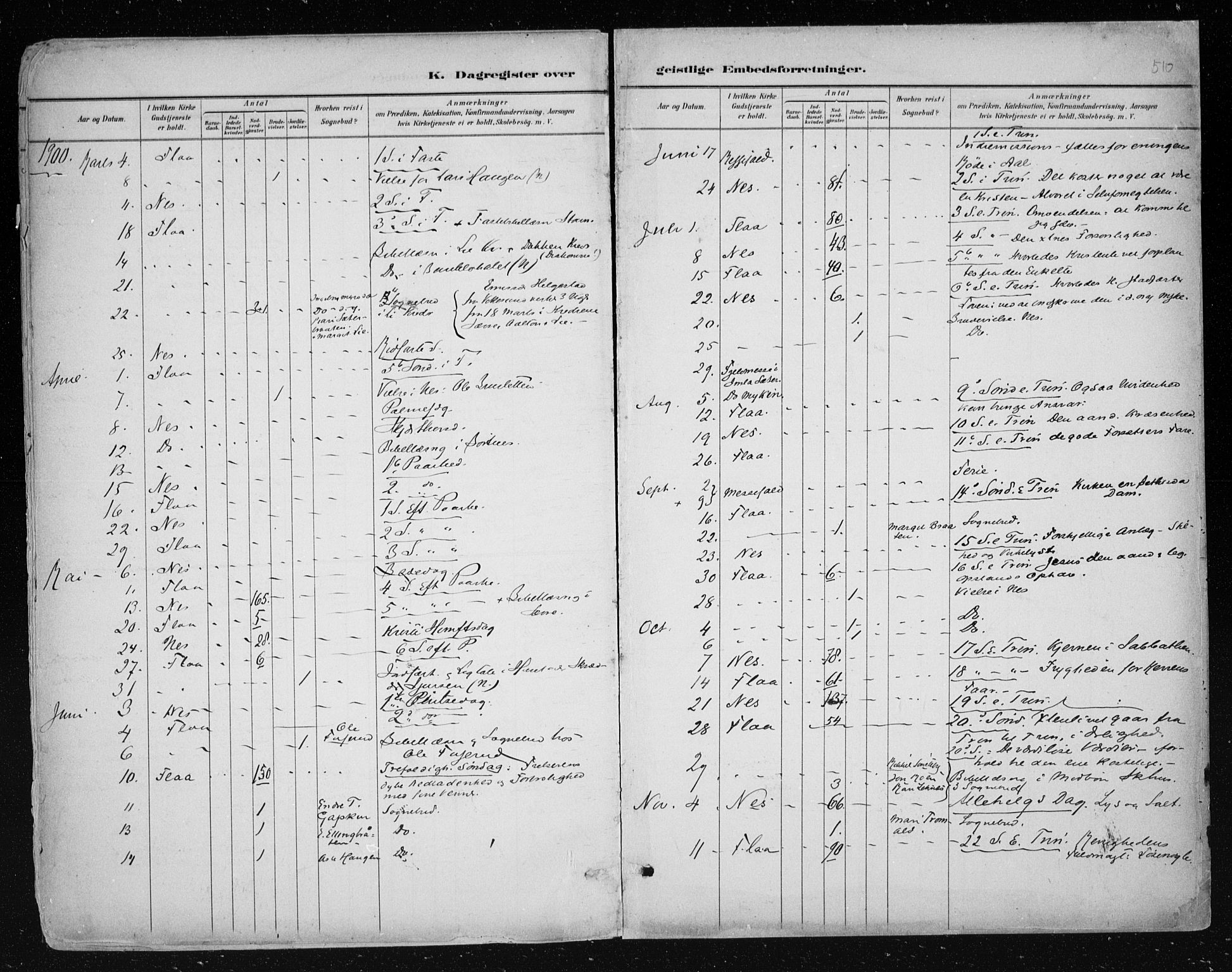 Nes kirkebøker, AV/SAKO-A-236/F/Fa/L0011: Parish register (official) no. 11, 1881-1912, p. 510