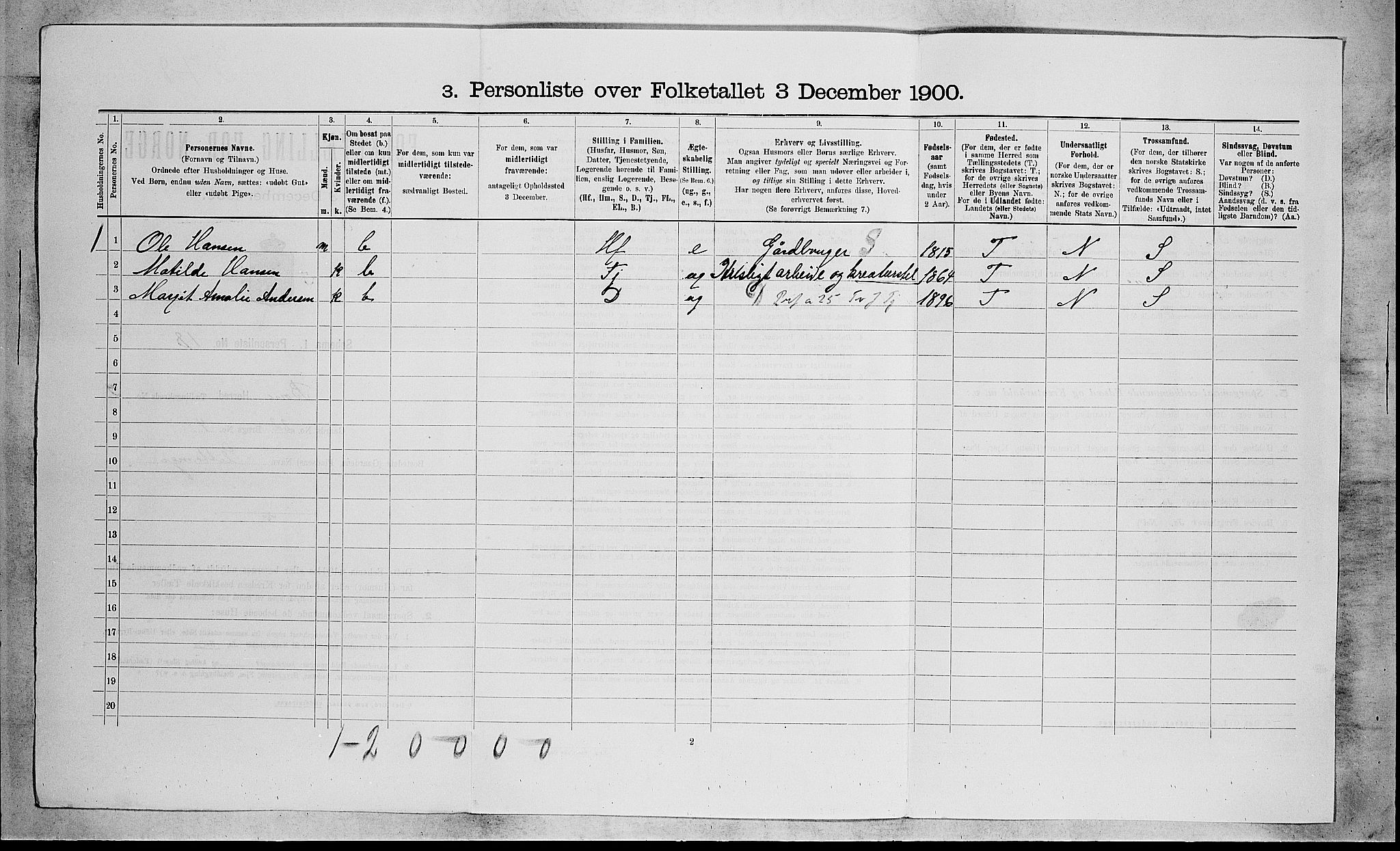RA, 1900 census for Borre, 1900, p. 295