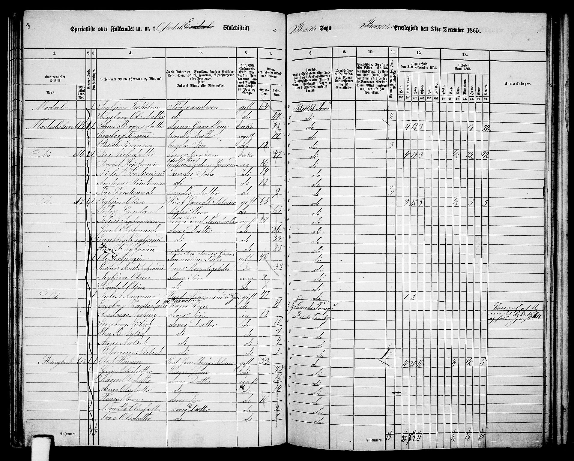 RA, 1865 census for Bakke, 1865, p. 75