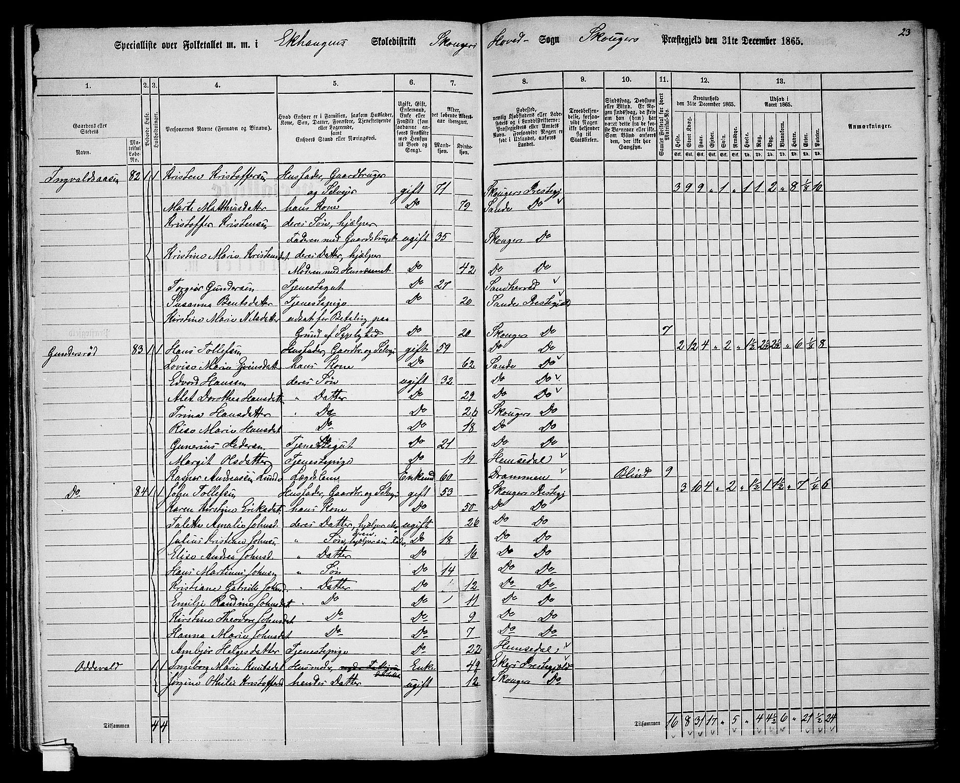 RA, 1865 census for Skoger, 1865, p. 65