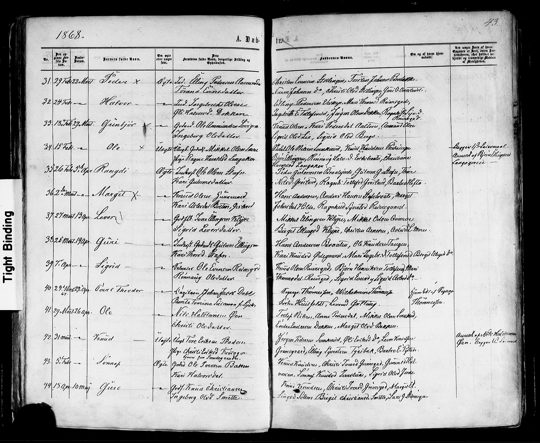 Nes kirkebøker, AV/SAKO-A-236/F/Fa/L0010: Parish register (official) no. 10, 1864-1880, p. 43