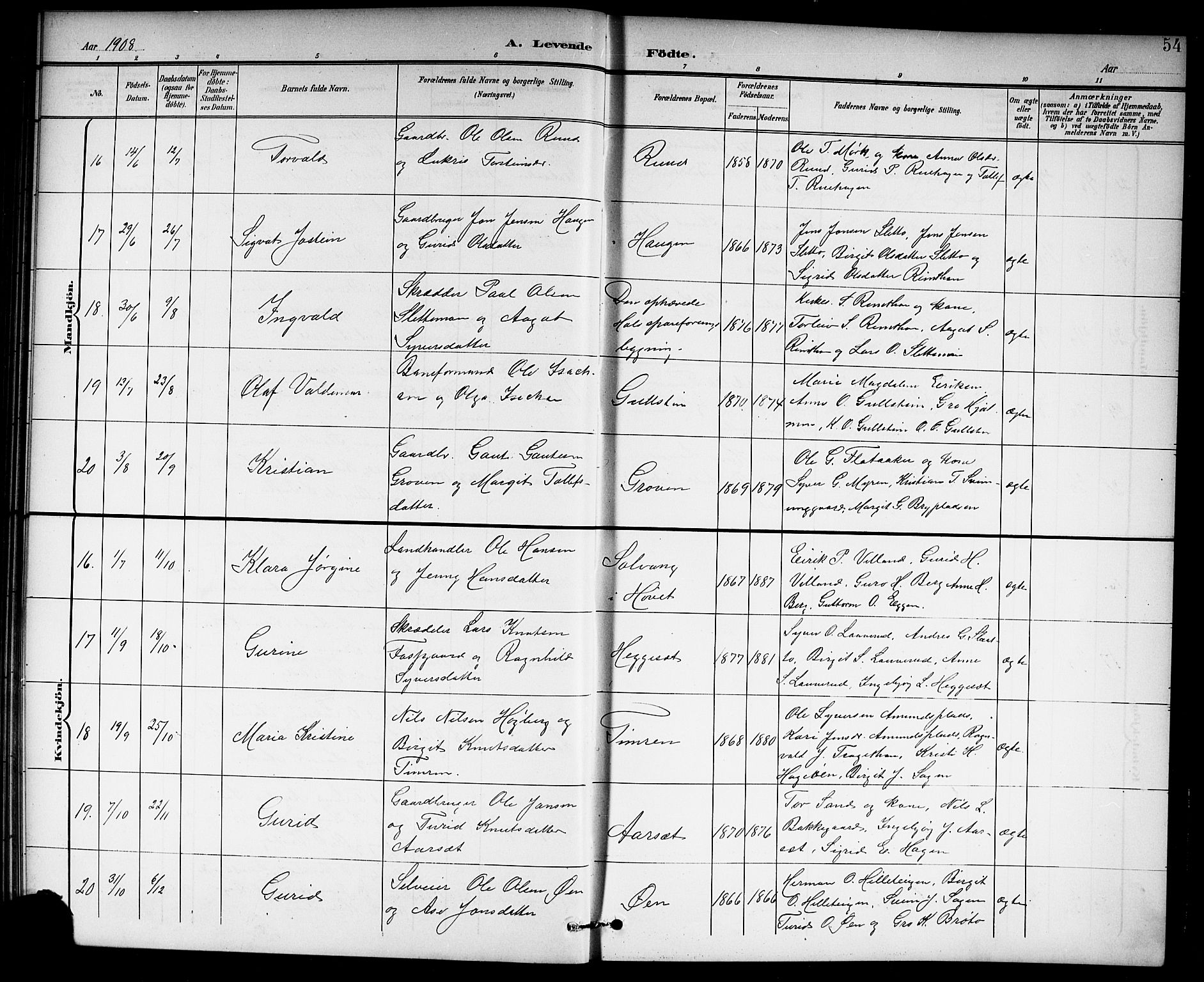 Hol kirkebøker, SAKO/A-227/G/Ga/L0001: Parish register (copy) no. I 1, 1900-1919, p. 54