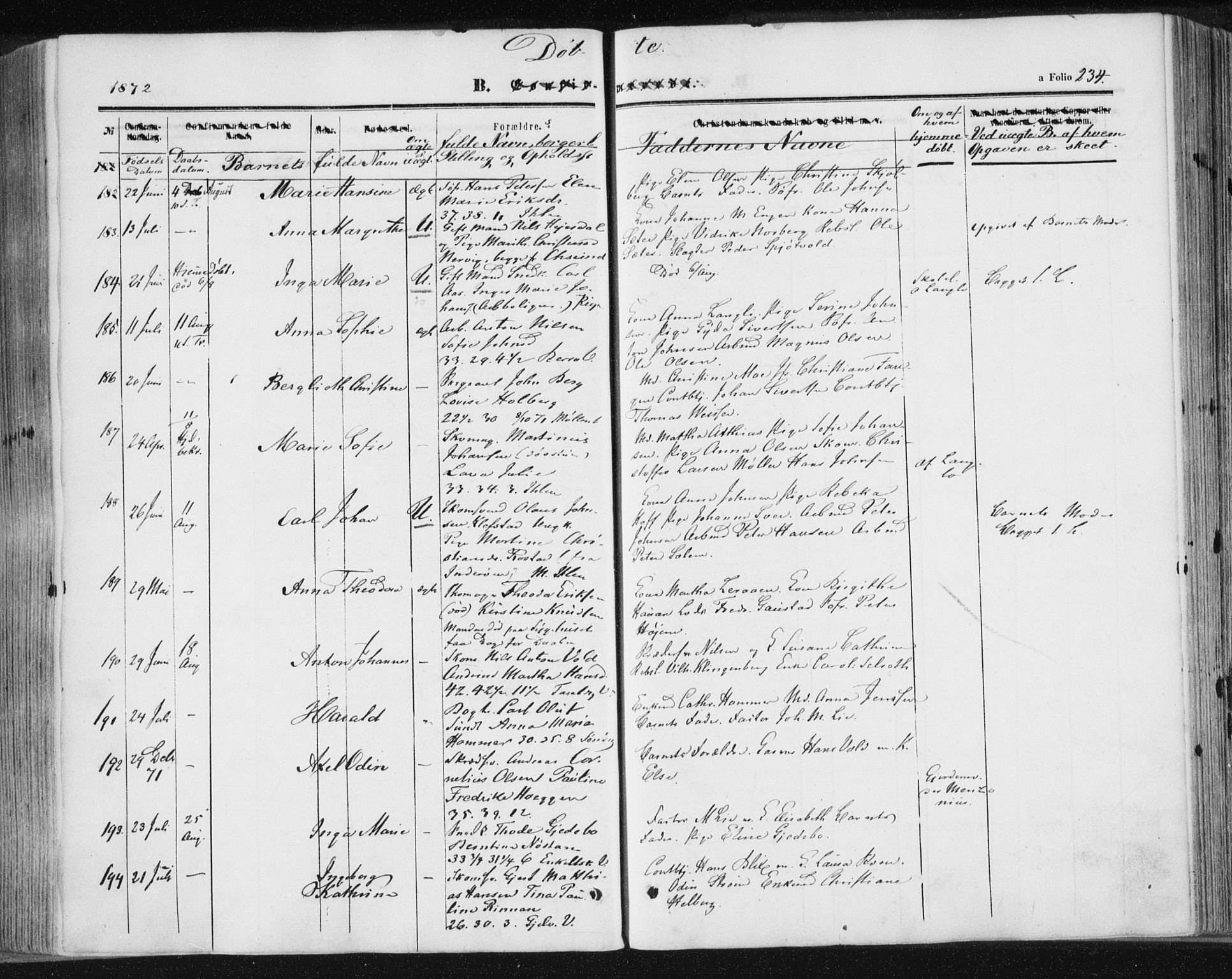 Ministerialprotokoller, klokkerbøker og fødselsregistre - Sør-Trøndelag, SAT/A-1456/602/L0115: Parish register (official) no. 602A13, 1860-1872, p. 234