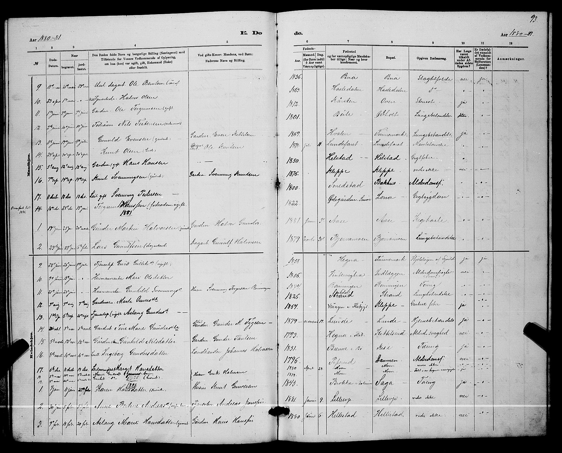 Lunde kirkebøker, AV/SAKO-A-282/G/Ga/L0001b: Parish register (copy) no. I 1, 1879-1887, p. 93