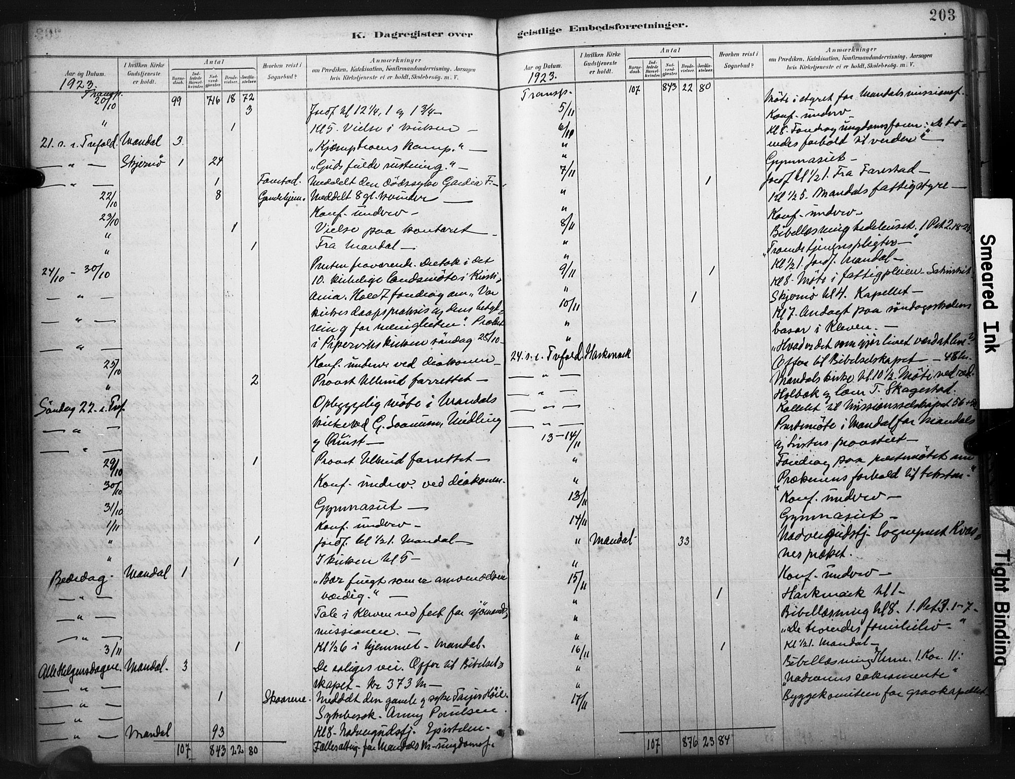 Mandal sokneprestkontor, AV/SAK-1111-0030/F/Fa/Faa/L0017: Parish register (official) no. A 17, 1880-1926, p. 203