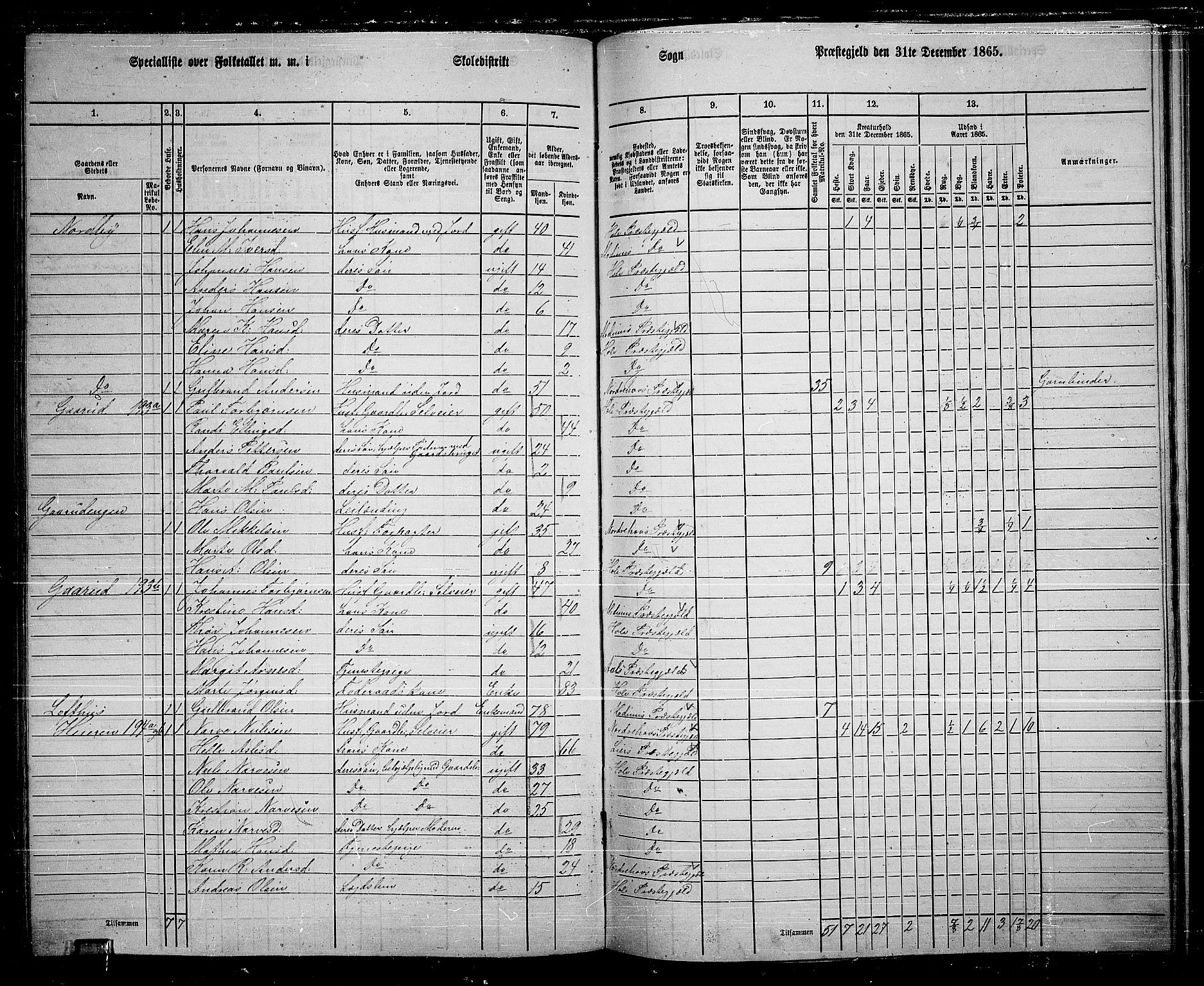 RA, 1865 census for Hole, 1865, p. 129