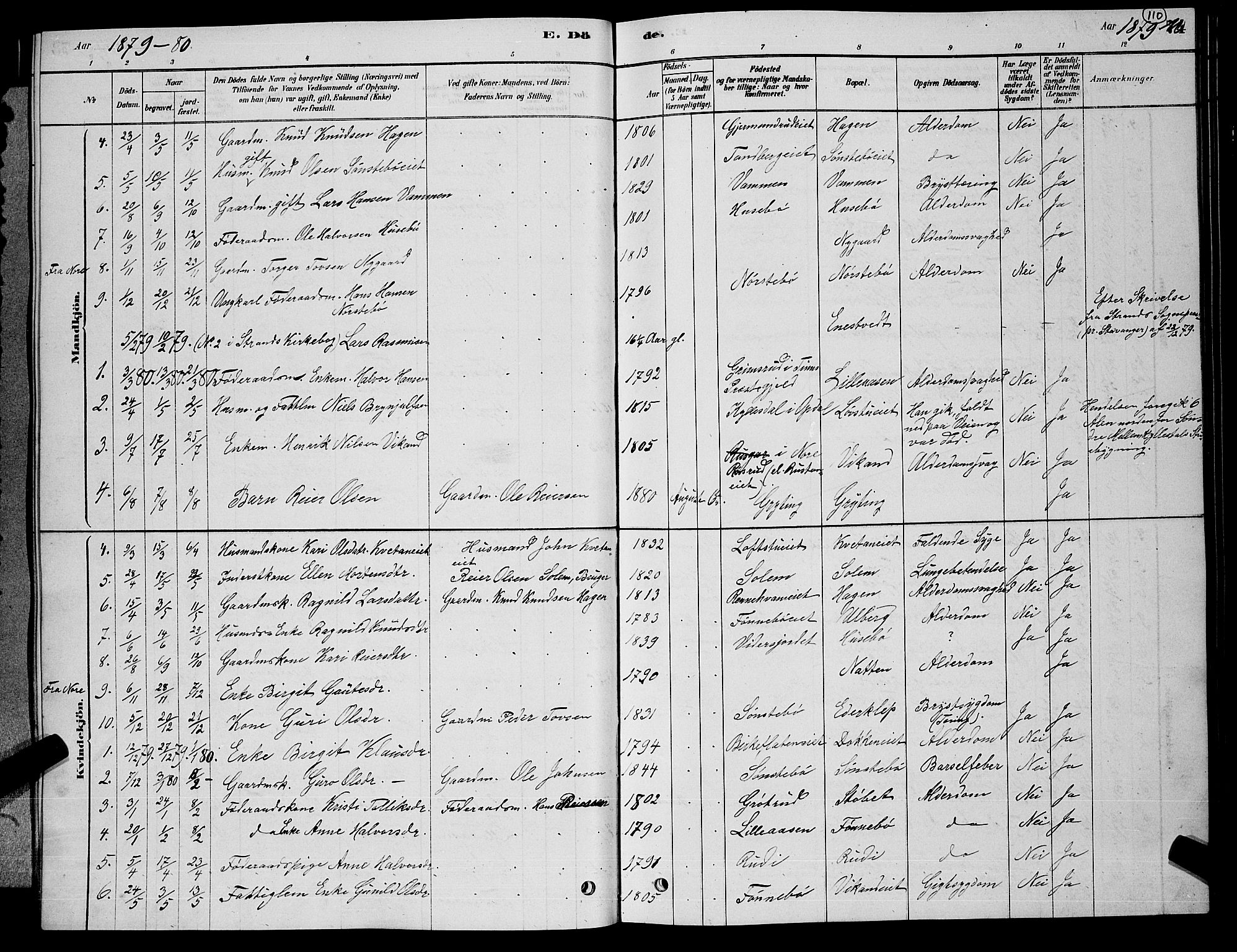 Nore kirkebøker, AV/SAKO-A-238/G/Gb/L0002: Parish register (copy) no. II 2, 1878-1894, p. 110