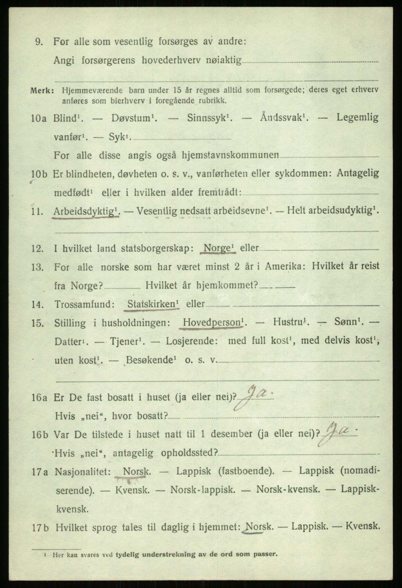 SATØ, 1920 census for Ibestad, 1920, p. 11256