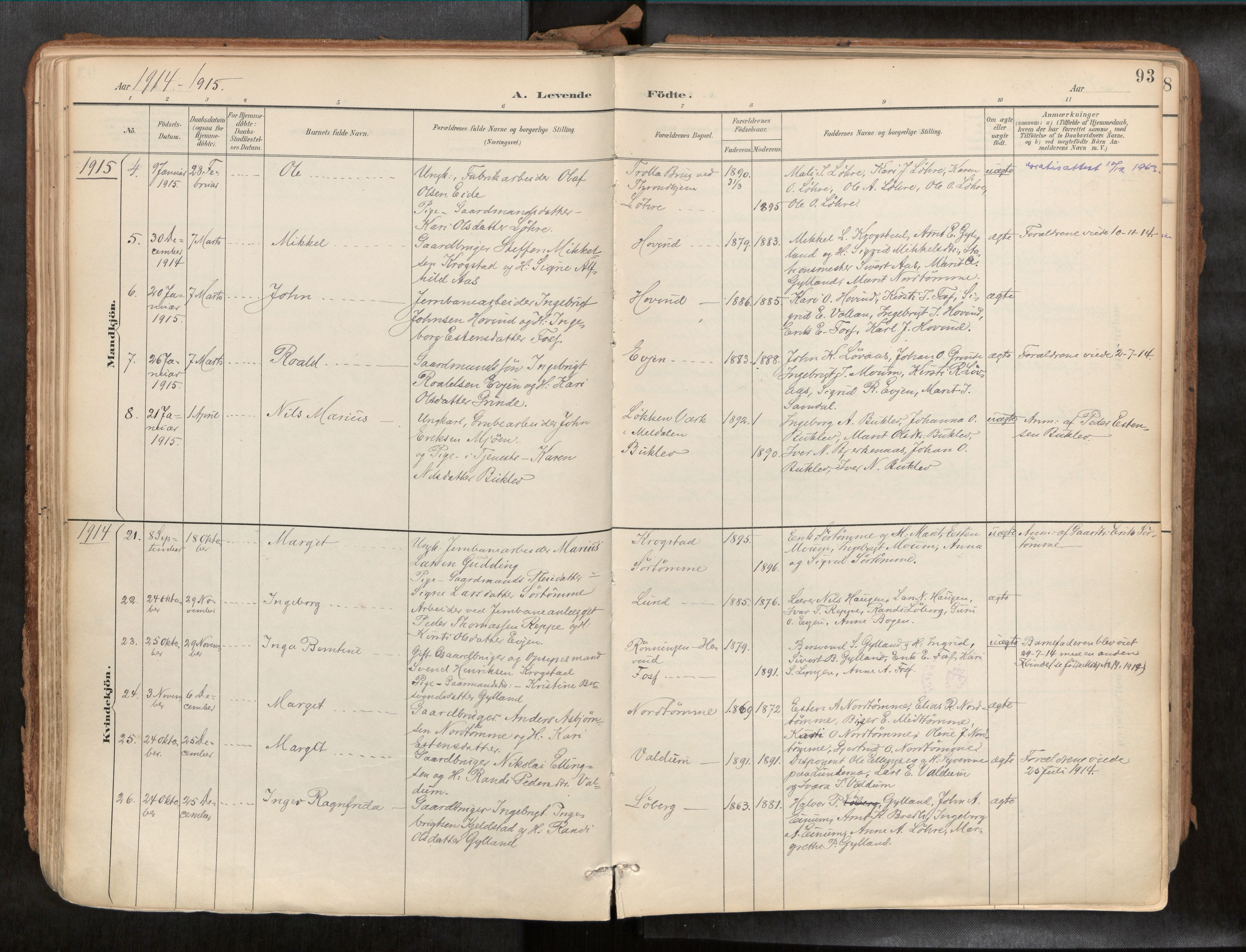 Ministerialprotokoller, klokkerbøker og fødselsregistre - Sør-Trøndelag, SAT/A-1456/692/L1105b: Parish register (official) no. 692A06, 1891-1934, p. 93