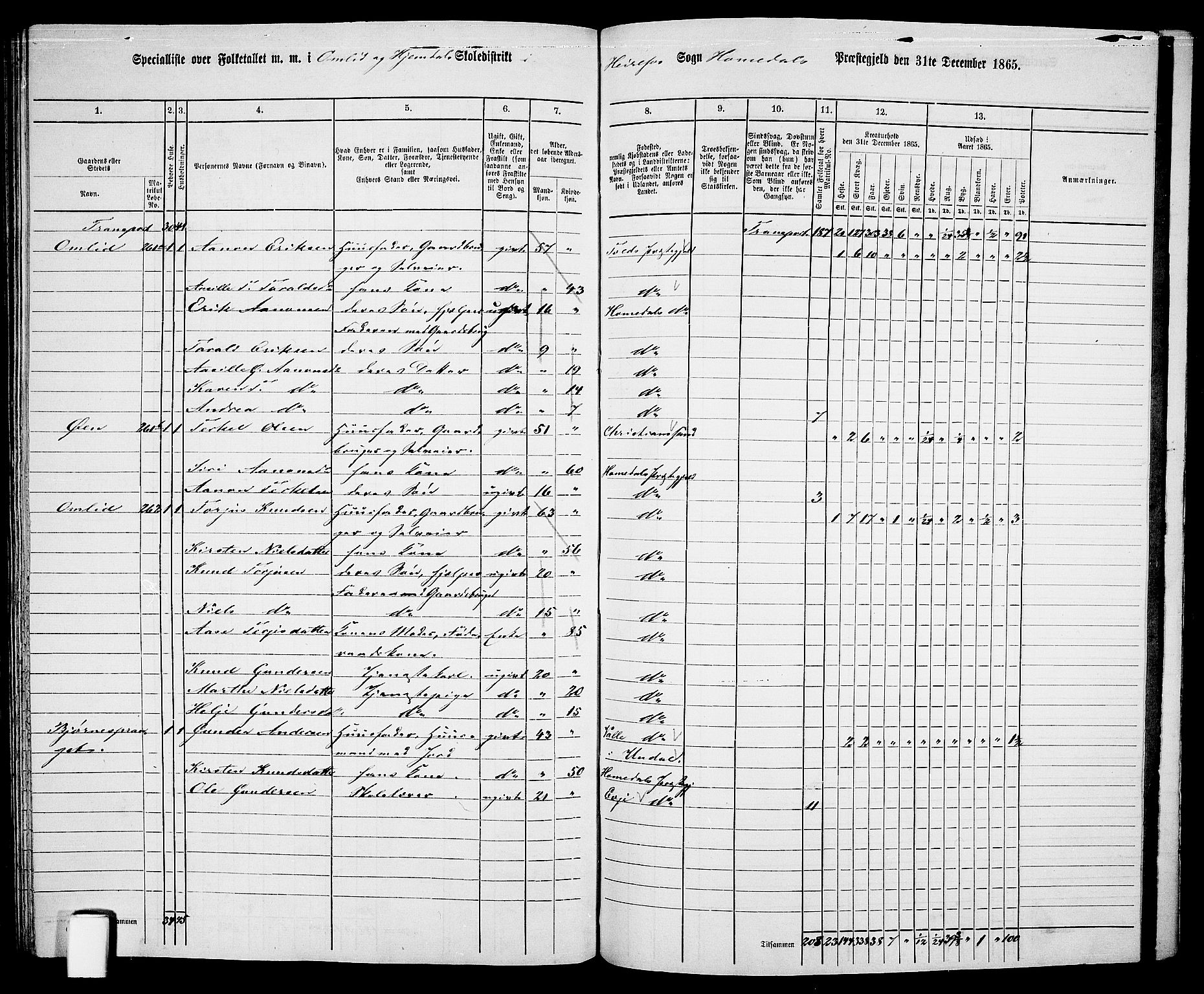 RA, 1865 census for Homedal, 1865, p. 160