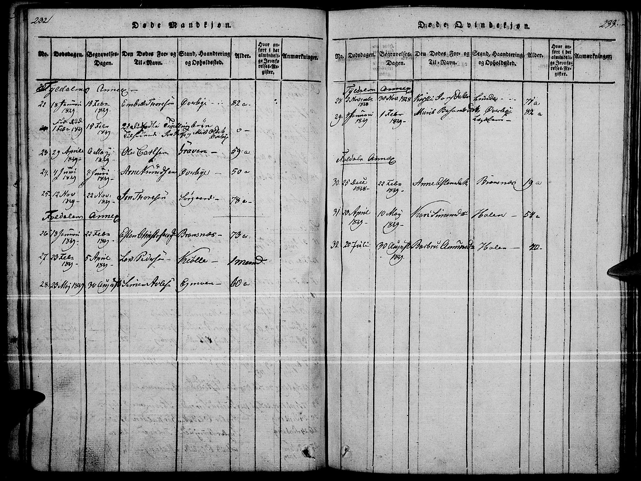 Tynset prestekontor, SAH/PREST-058/H/Ha/Haa/L0018: Parish register (official) no. 18, 1815-1829, p. 232-233