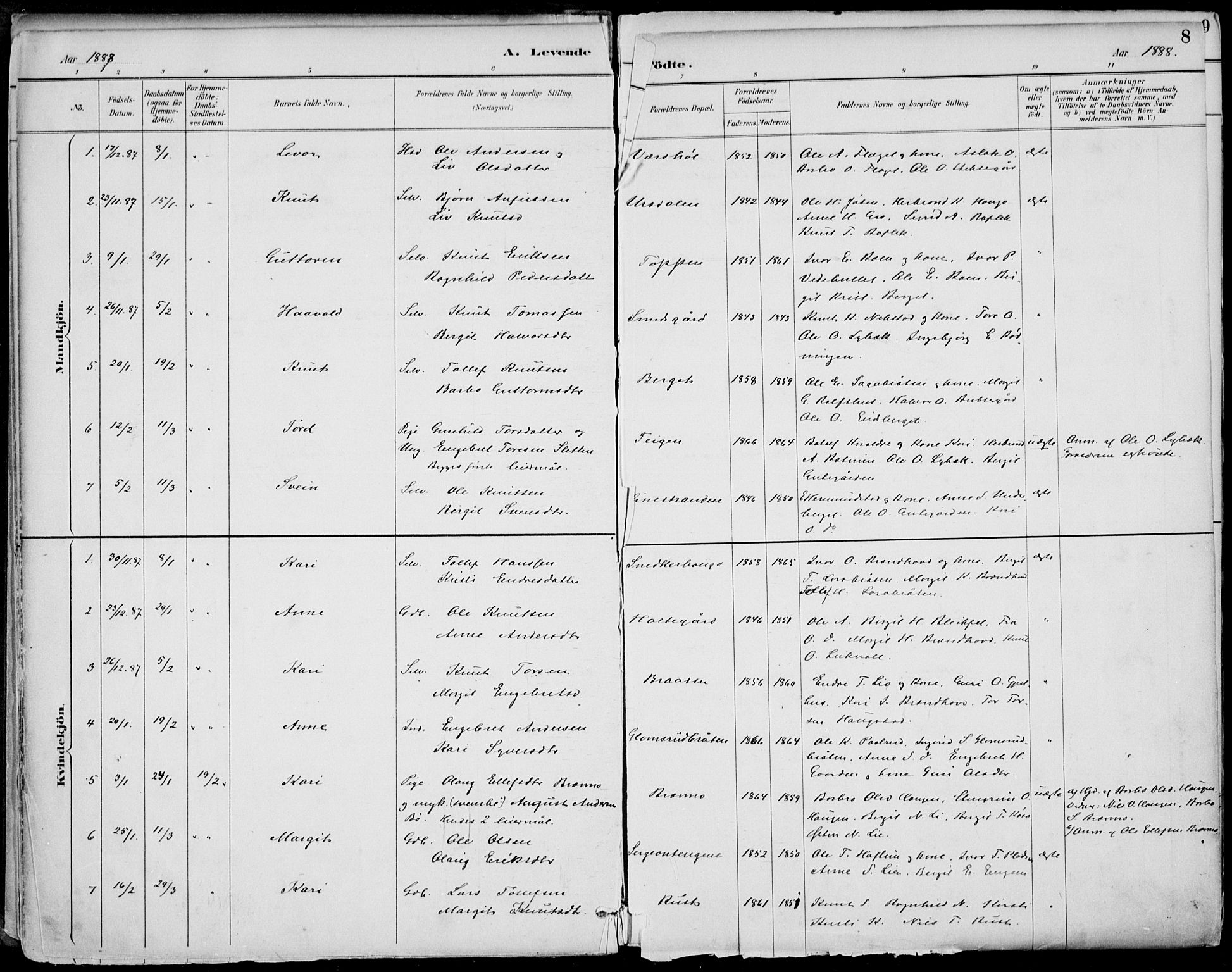 Gol kirkebøker, SAKO/A-226/F/Fa/L0005: Parish register (official) no. I 5, 1887-1900, p. 8