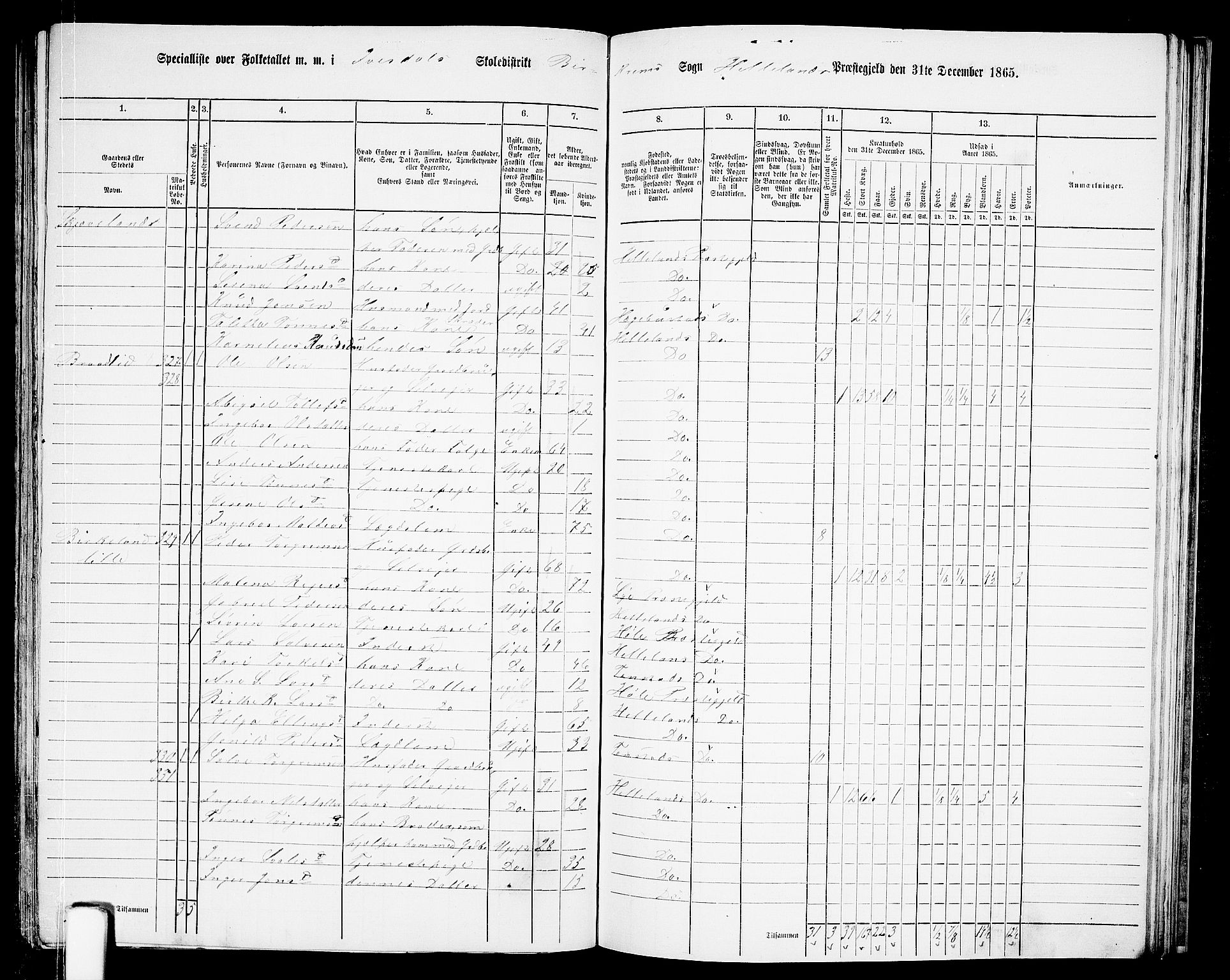 RA, 1865 census for Helleland, 1865, p. 102