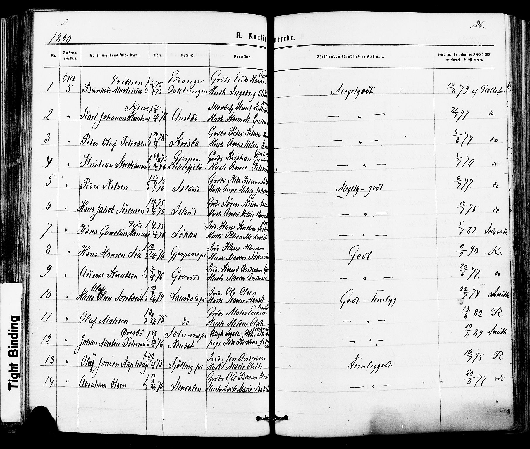 Siljan kirkebøker, AV/SAKO-A-300/F/Fa/L0002: Parish register (official) no. 2, 1870-1895, p. 126